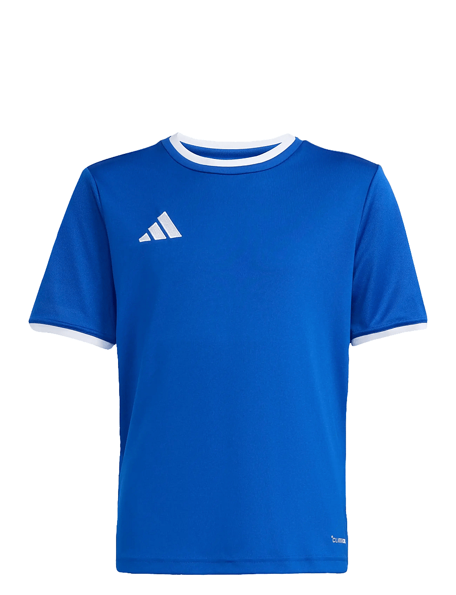 adidas Performance - ENT26 JSY Y - sportoberteile - royblu/white - 1