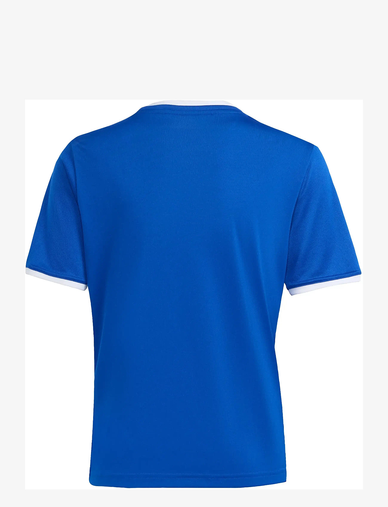 adidas Performance - ENT26 JSY Y - sportoberteile - royblu/white - 2
