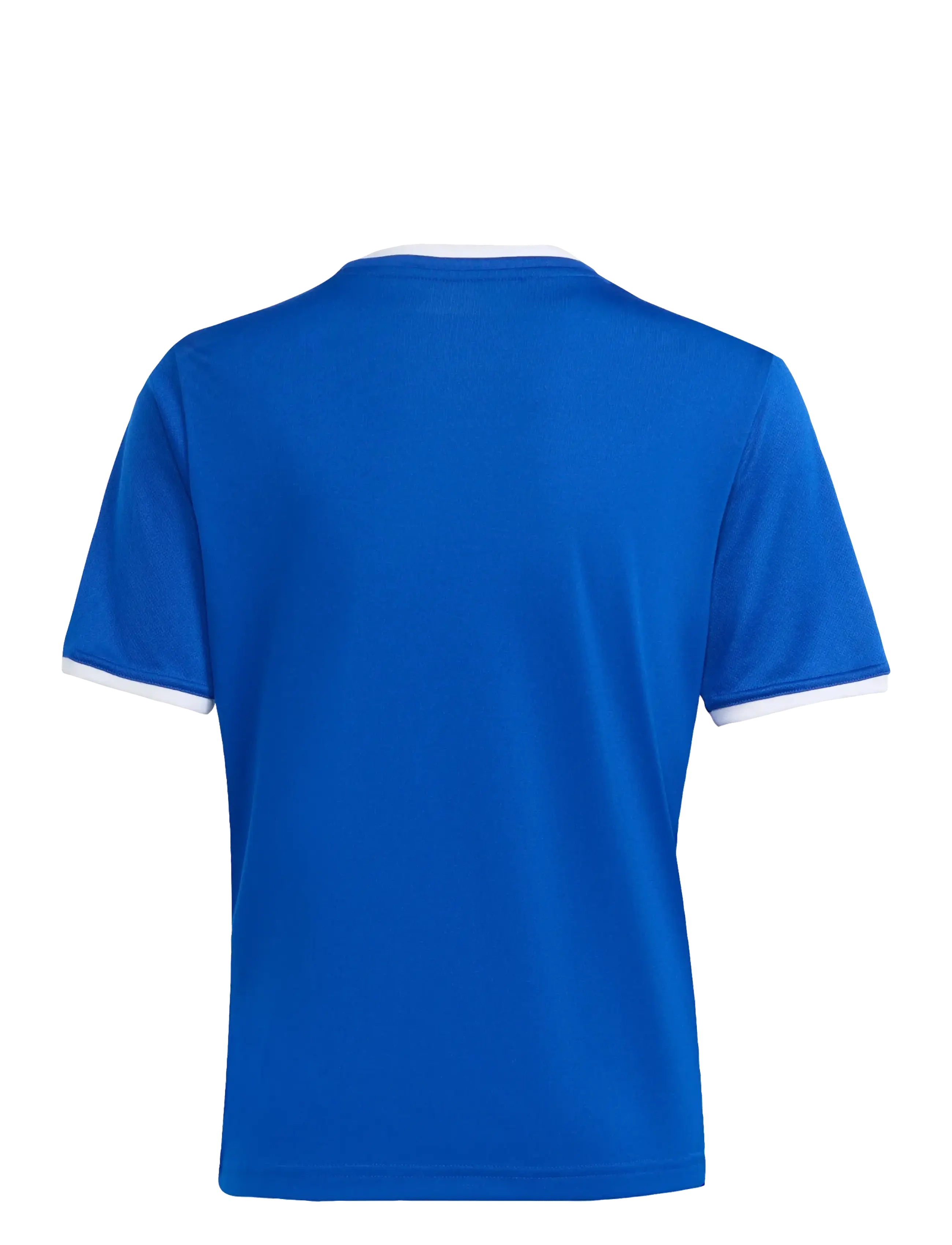 adidas Performance - ENT26 JSY Y - sportstoppe - royblu/white - 2