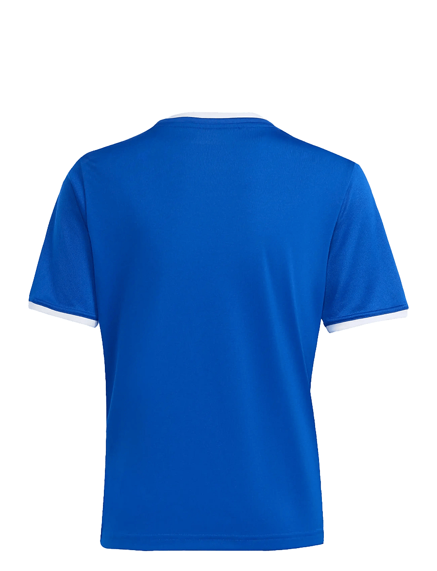 adidas Performance - ENT26 JSY Y - sportoberteile - royblu/white - 2