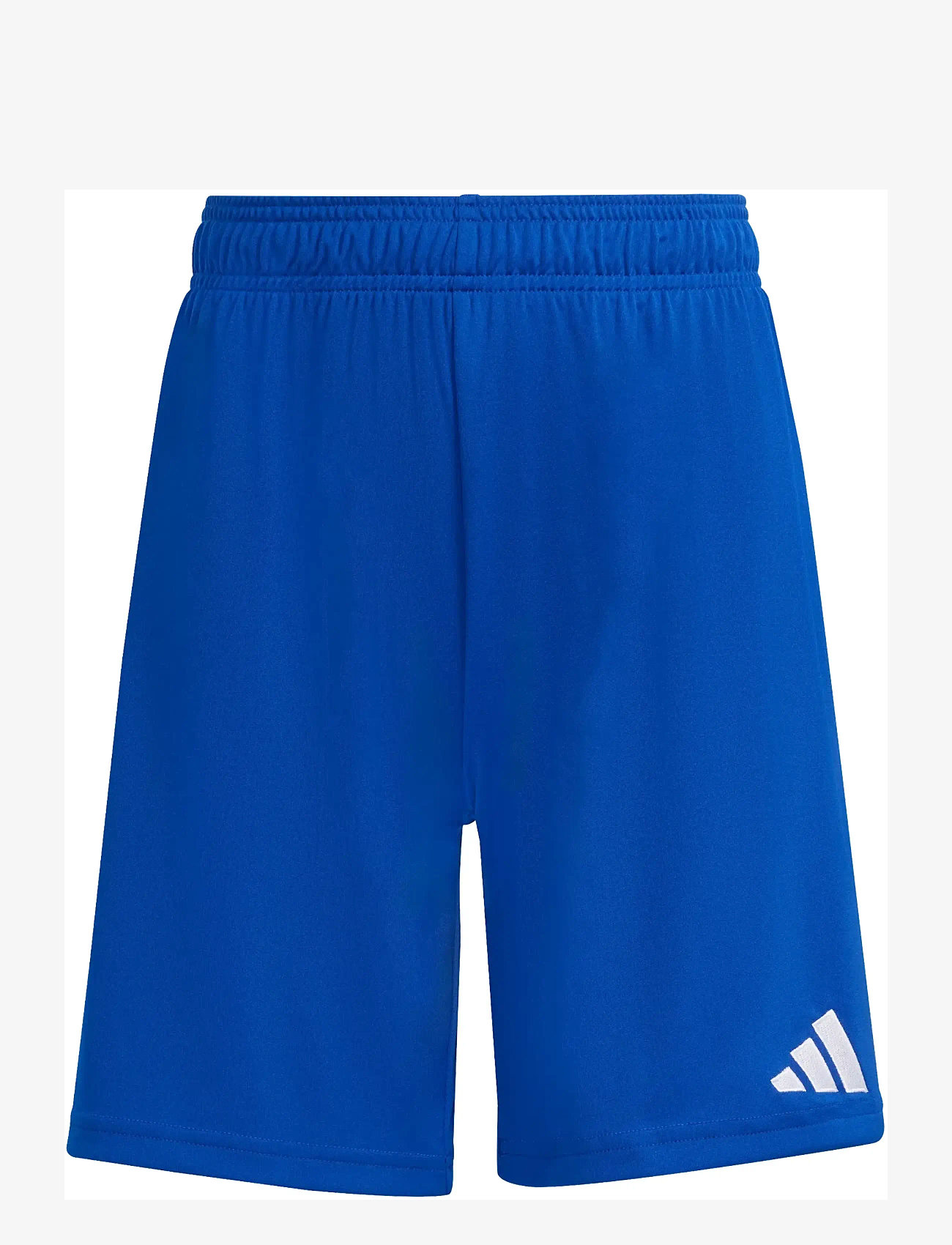 adidas Performance - ENT26 SHO Y - sportimise püksid - royblu/white - 1