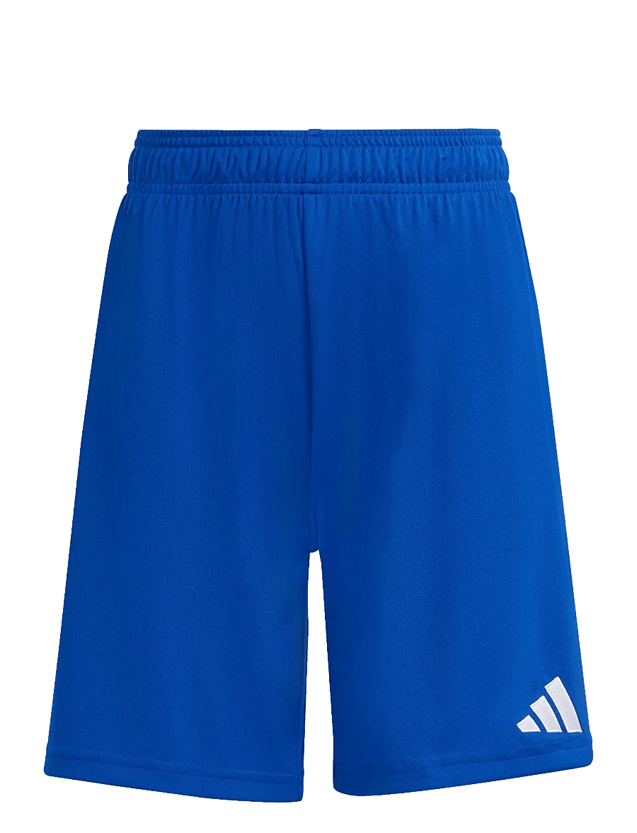 adidas Performance - ENT26 SHO Y - lühikesed spordipüksid - royblu/white - 1