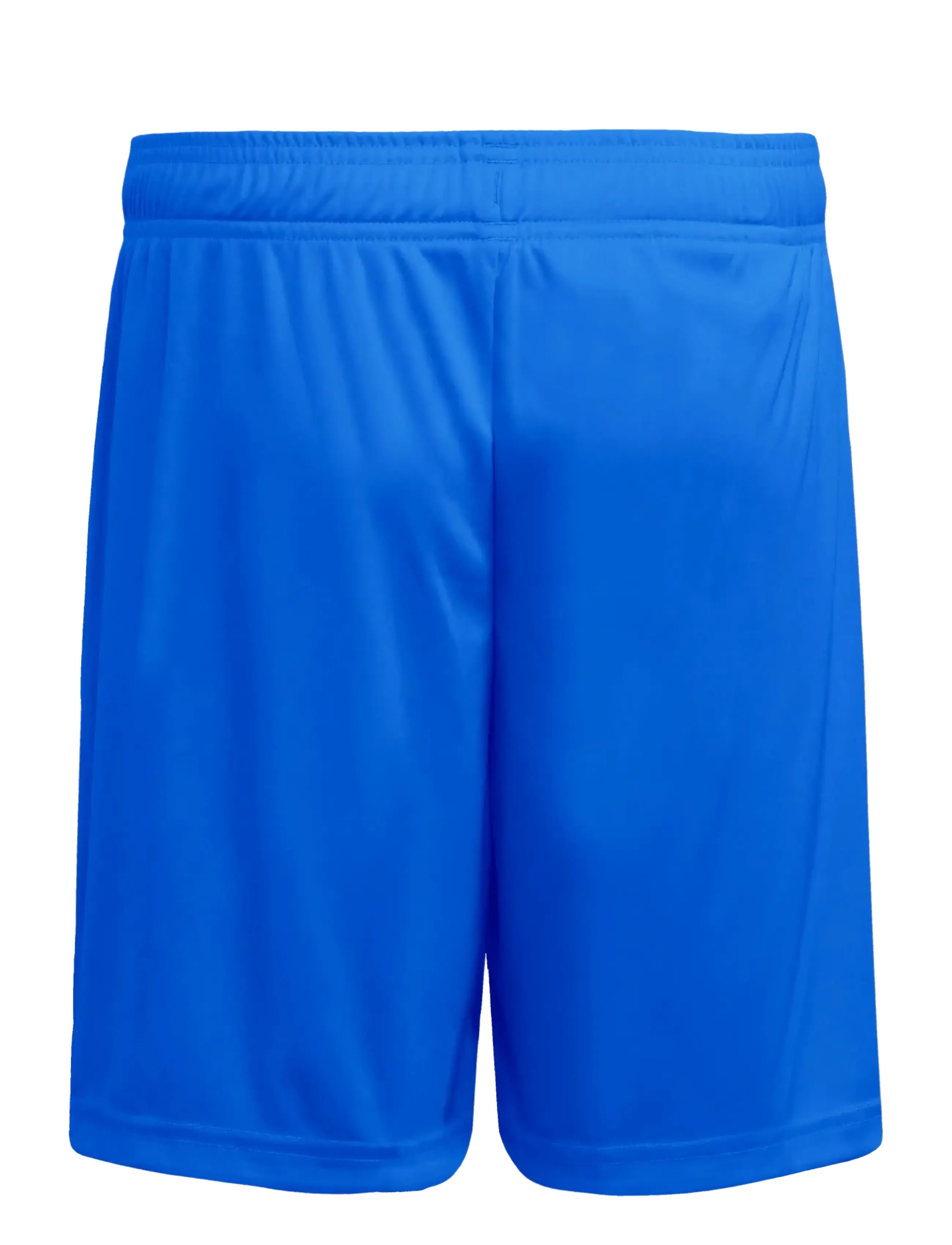 adidas Performance - ENT26 SHO Y - sport shorts - royblu/white - 2
