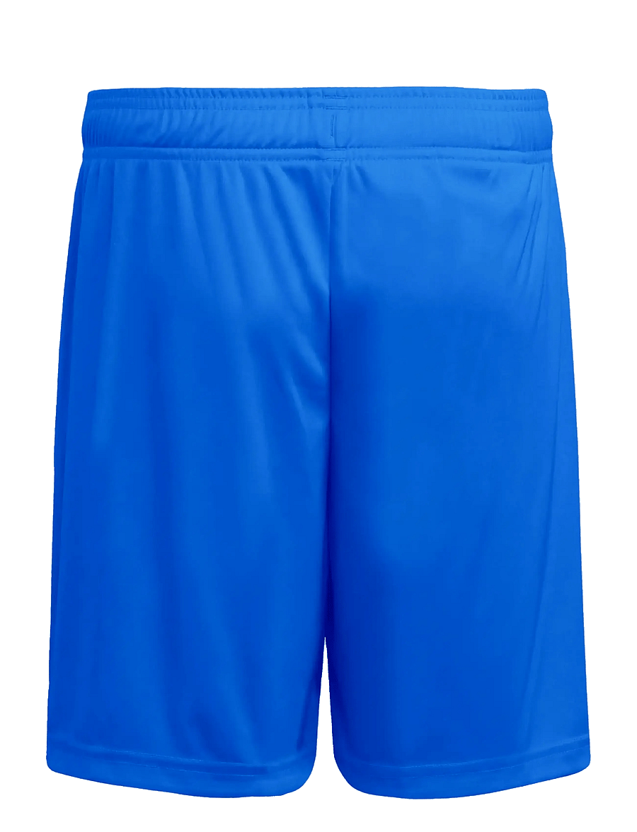 adidas Performance - ENT26 SHO Y - lühikesed spordipüksid - royblu/white - 2
