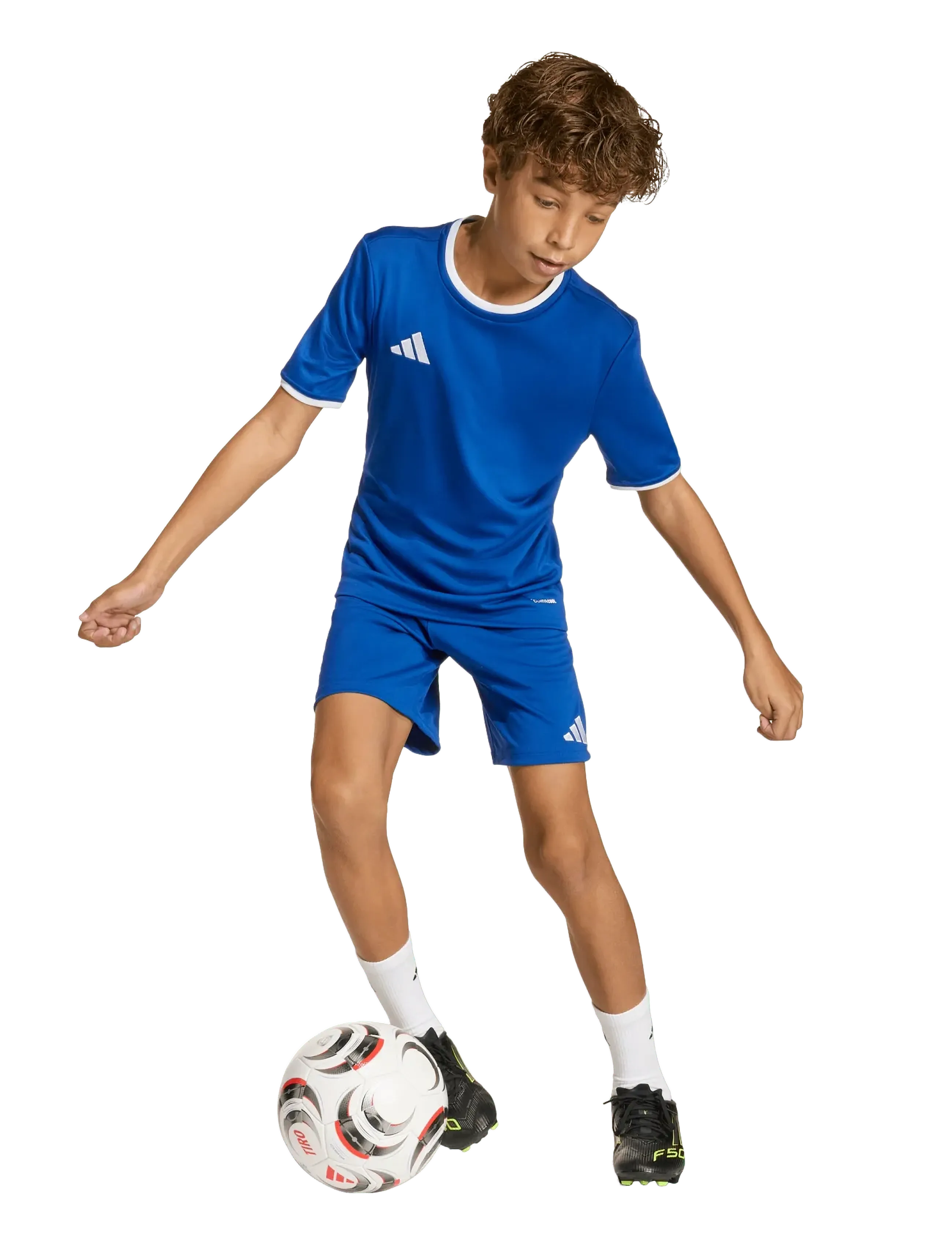 adidas Performance ENT26 SHO Y - Shorts - ROYBLU/WHITE / blue