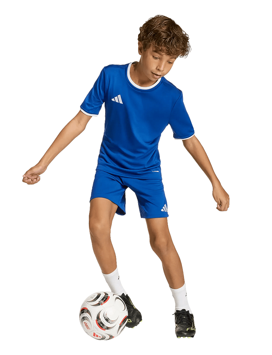 adidas Performance - ENT26 SHO Y - lühikesed spordipüksid - royblu/white - 0