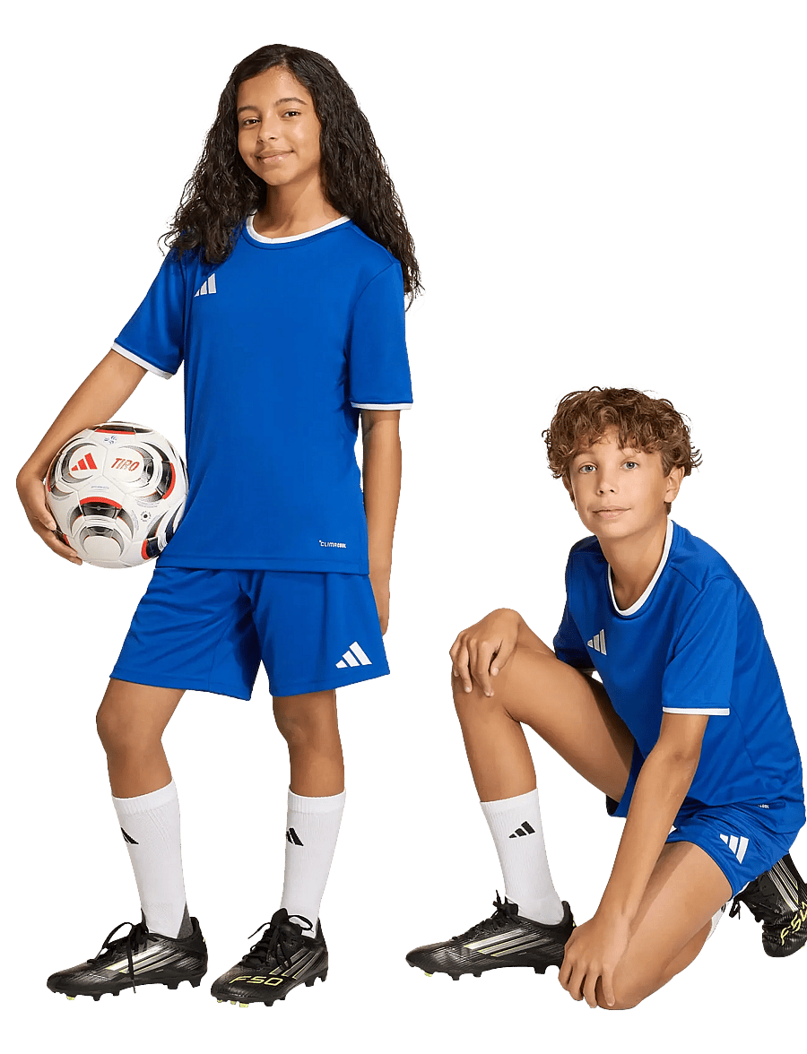 adidas Performance - ENT26 SHO Y - lühikesed spordipüksid - royblu/white - 3
