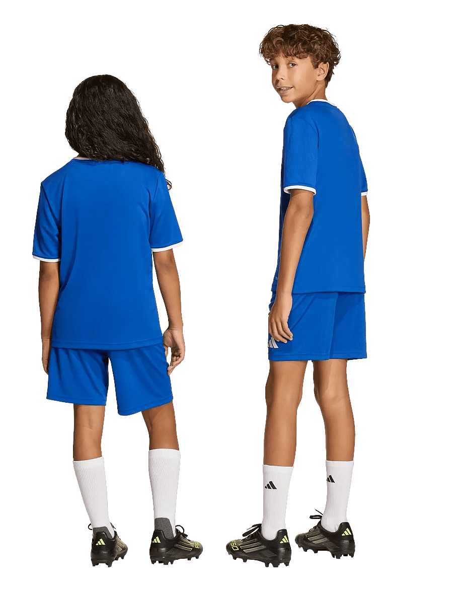 adidas Performance - ENT26 SHO Y - lühikesed spordipüksid - royblu/white - 4