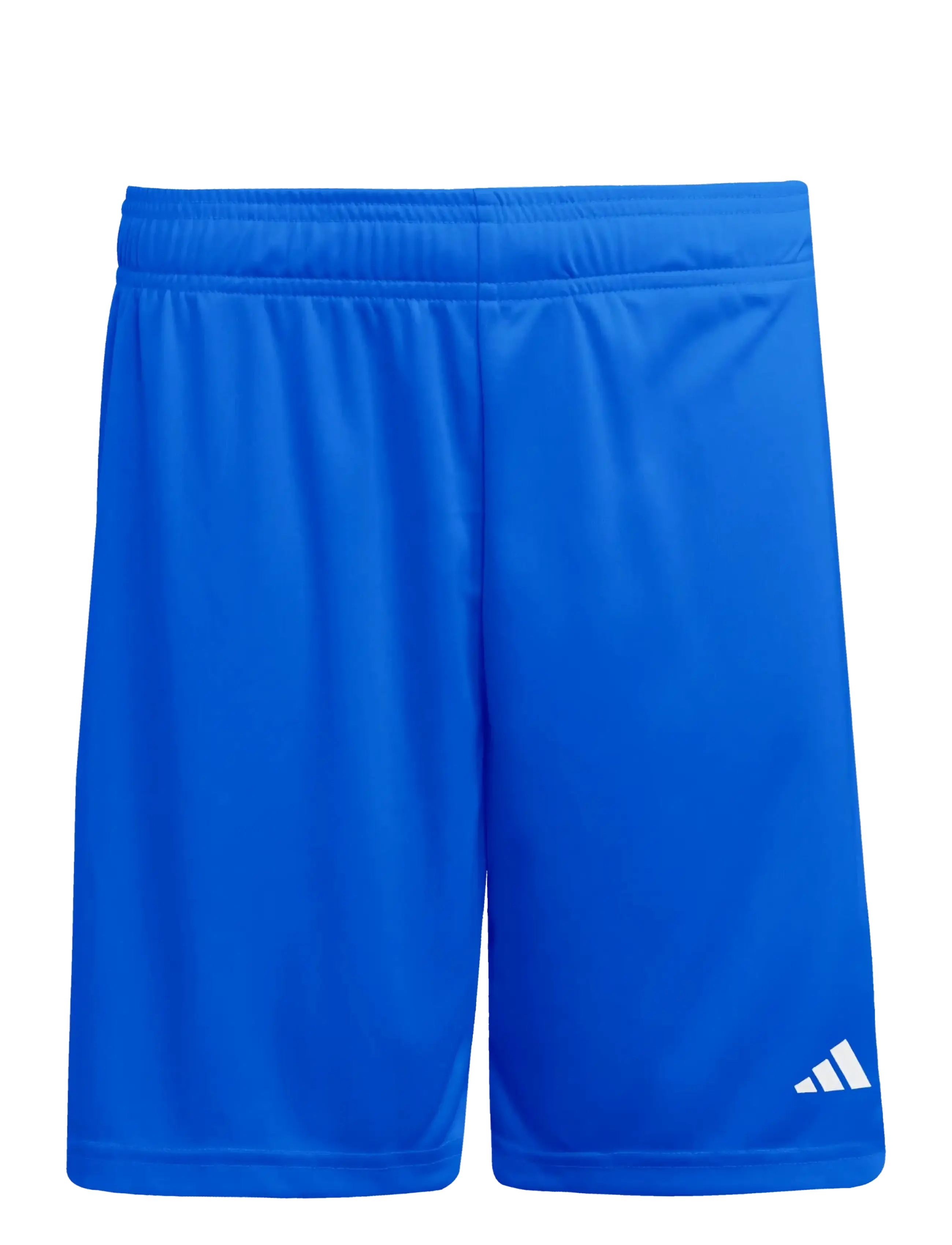 adidas Performance - ENT26 SHO Y - royblu/white - 3