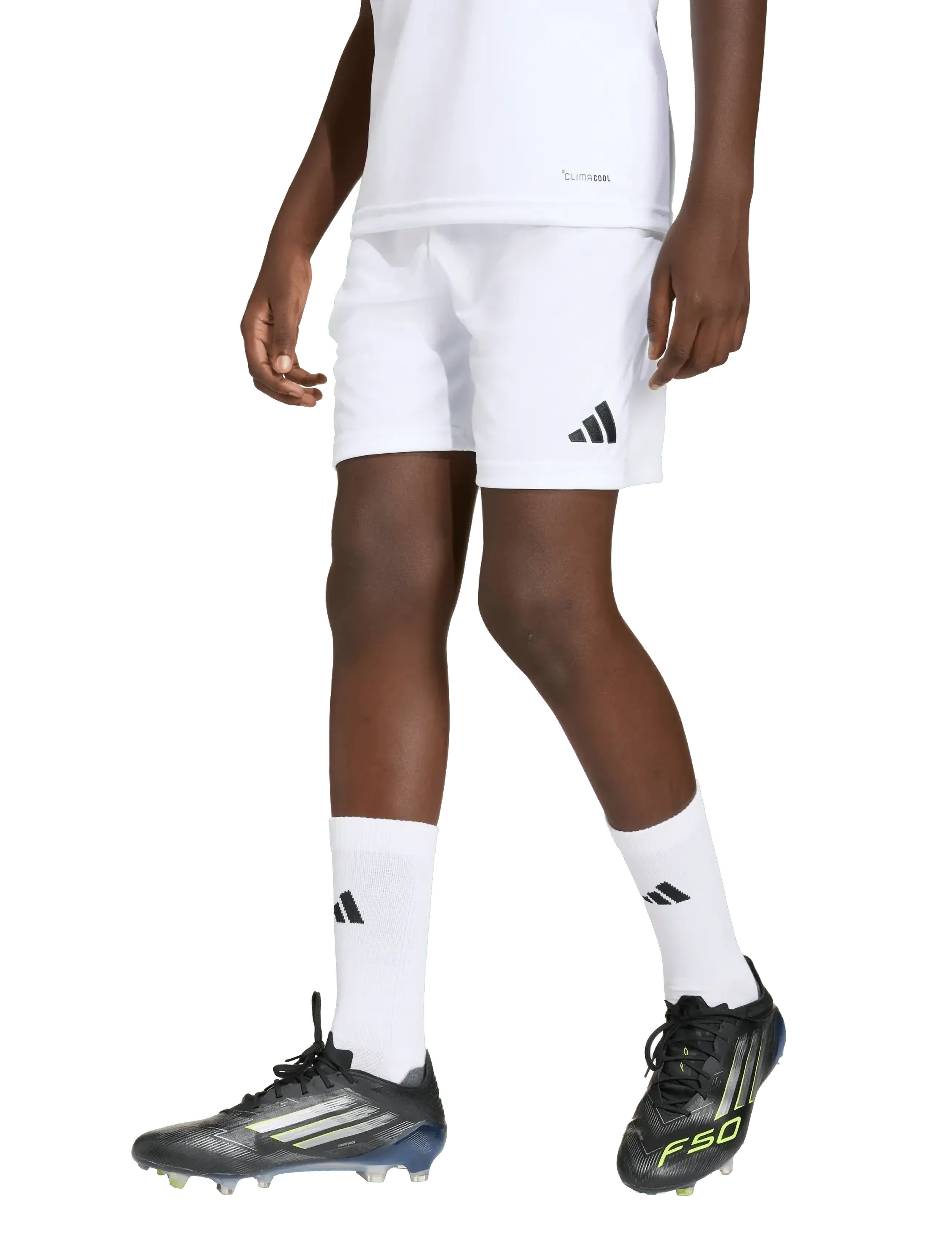adidas Performance - ENT26 SHO Y - sportshorts - white/black - 4