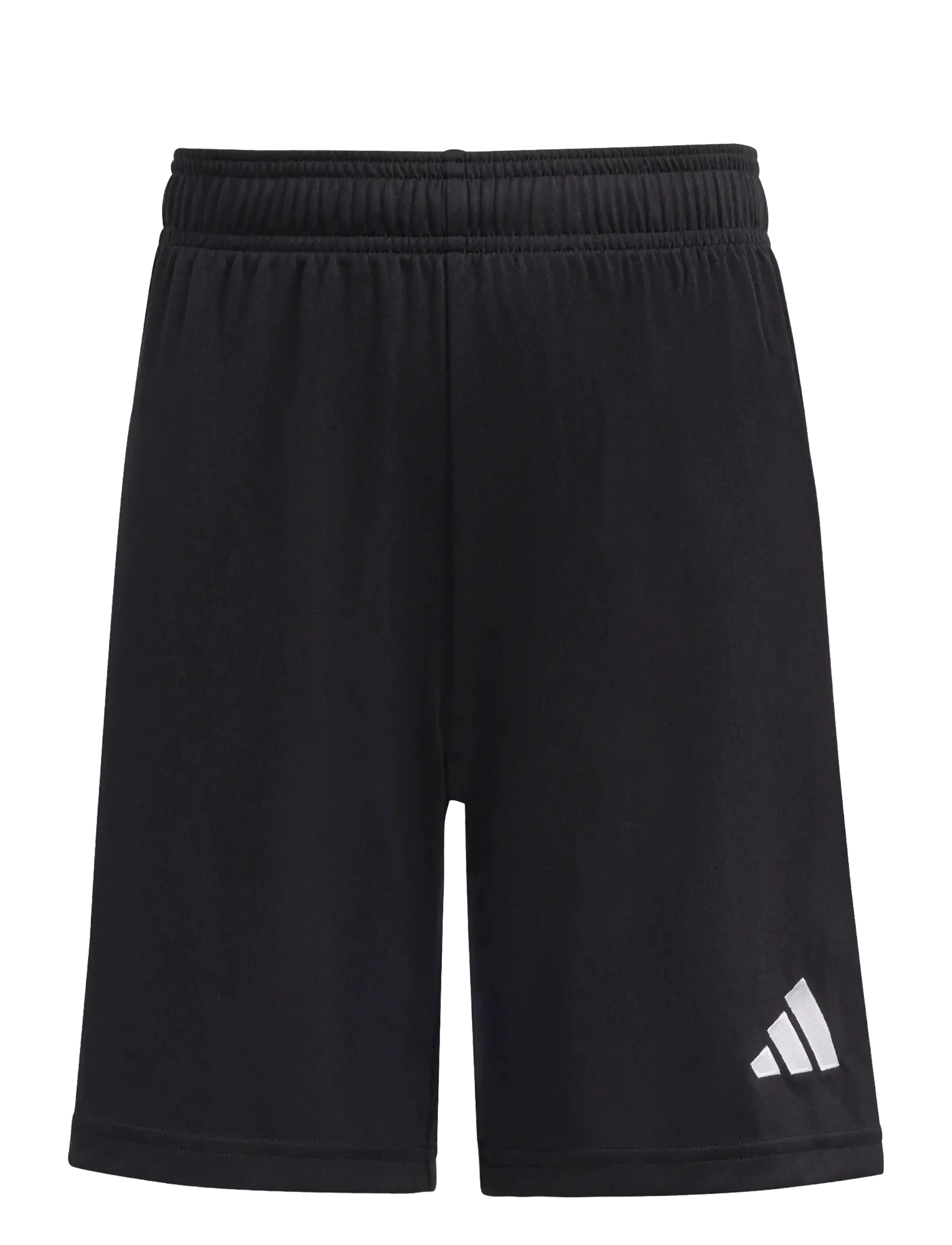 adidas Performance ENT26 SHO Y - Hosen - BLACK/WHITE / black