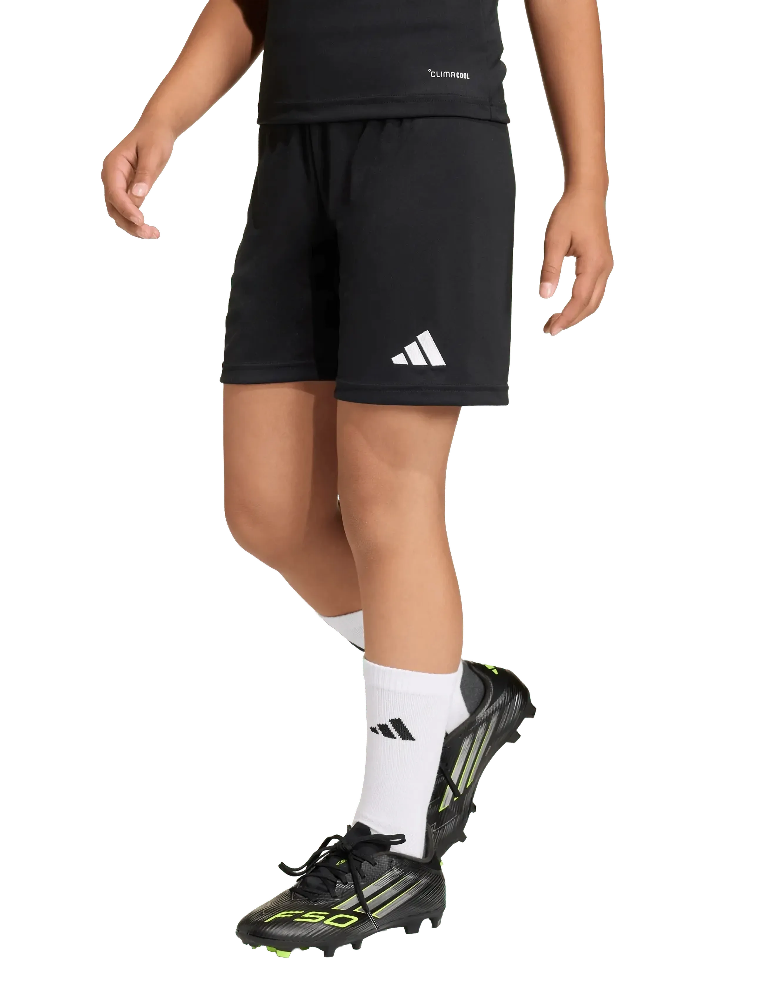 adidas Performance - ENT26 SHO Y - sport shorts - black/white - 2