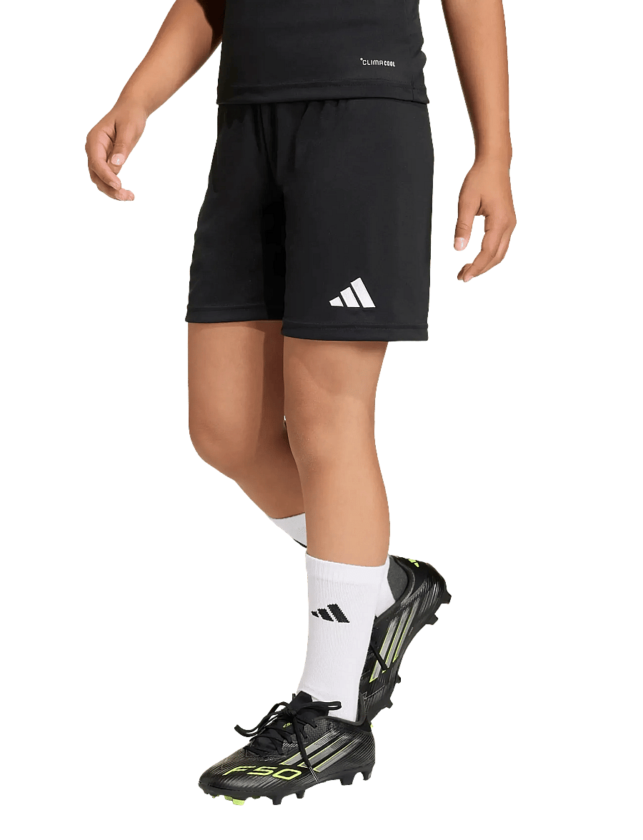 adidas Performance - ENT26 SHO Y - sport-shorts - black/white - 3