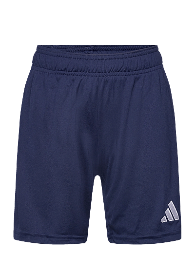 adidas Performance ENT26 SHO Y - Lühikesed püksid - TENABL/WHITE / navy
