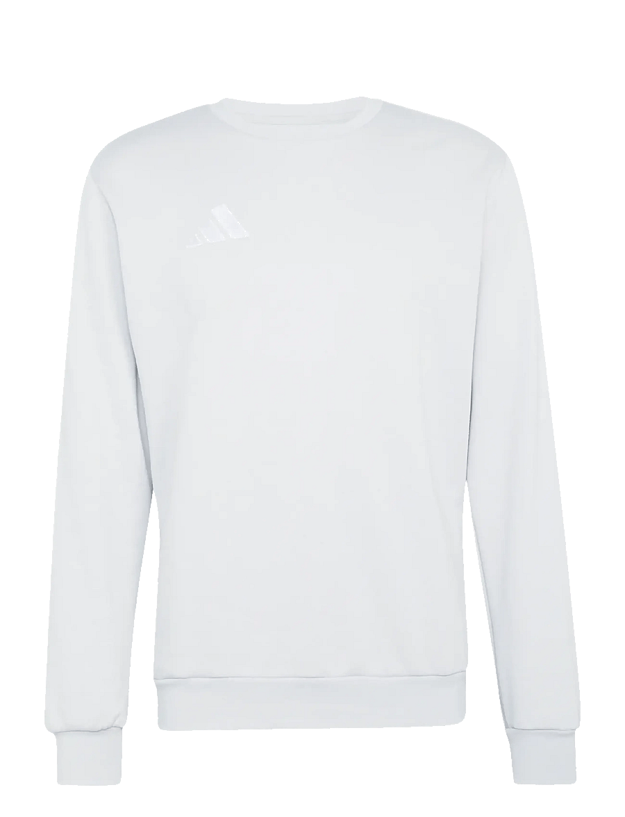 adidas Performance - ENT26 SW TOP - oberteile - tmlggr/white - 1