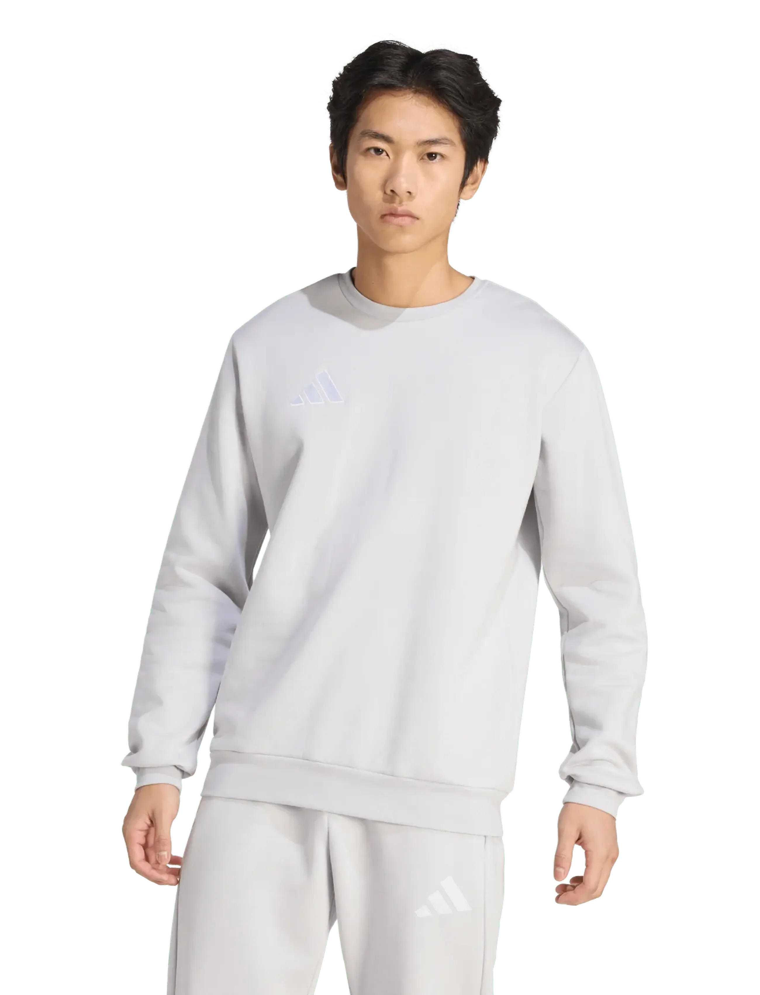adidas Performance - ENT26 SW TOP - tmlggr/white - 2