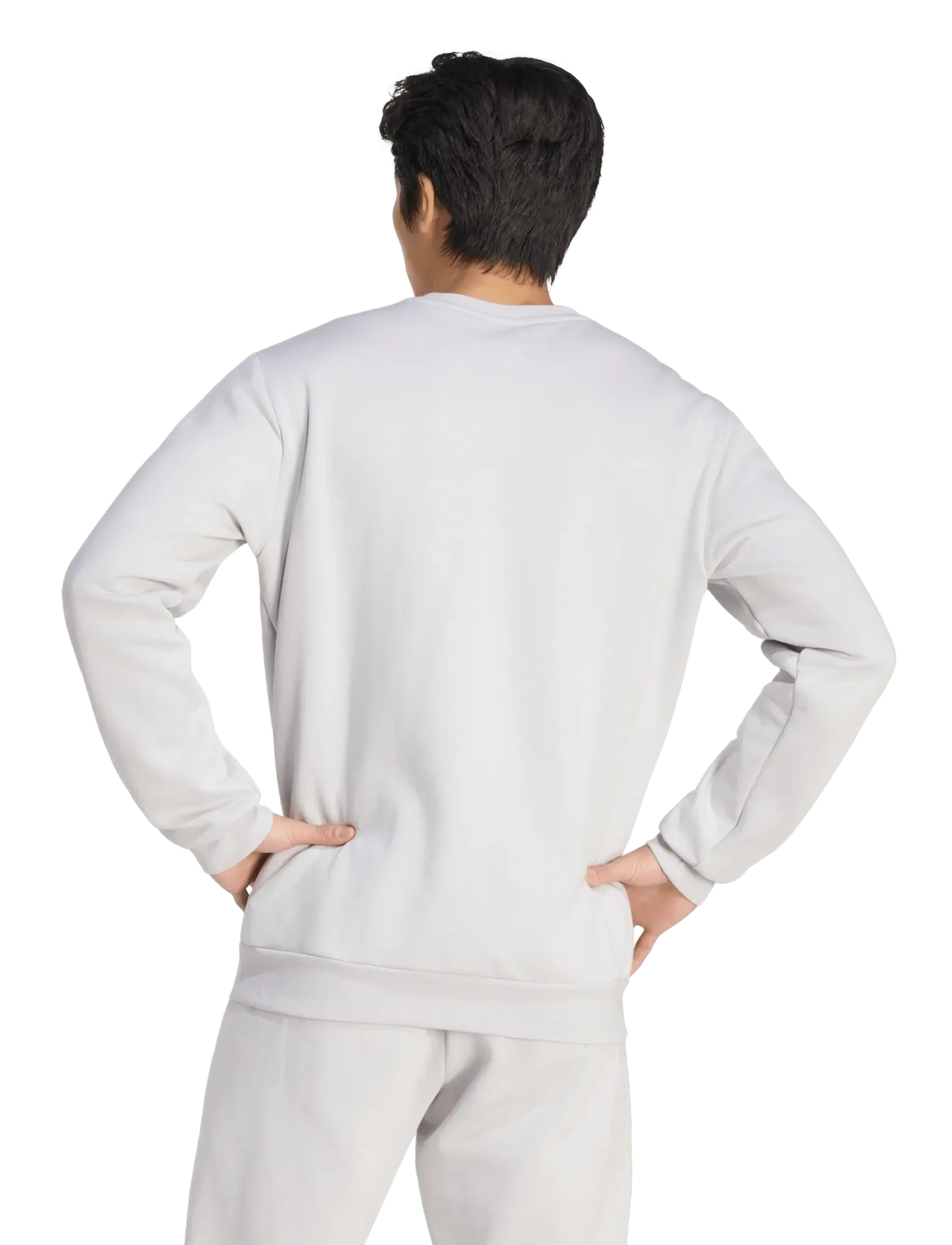 adidas Performance - ENT26 SW TOP - tmlggr/white - 4