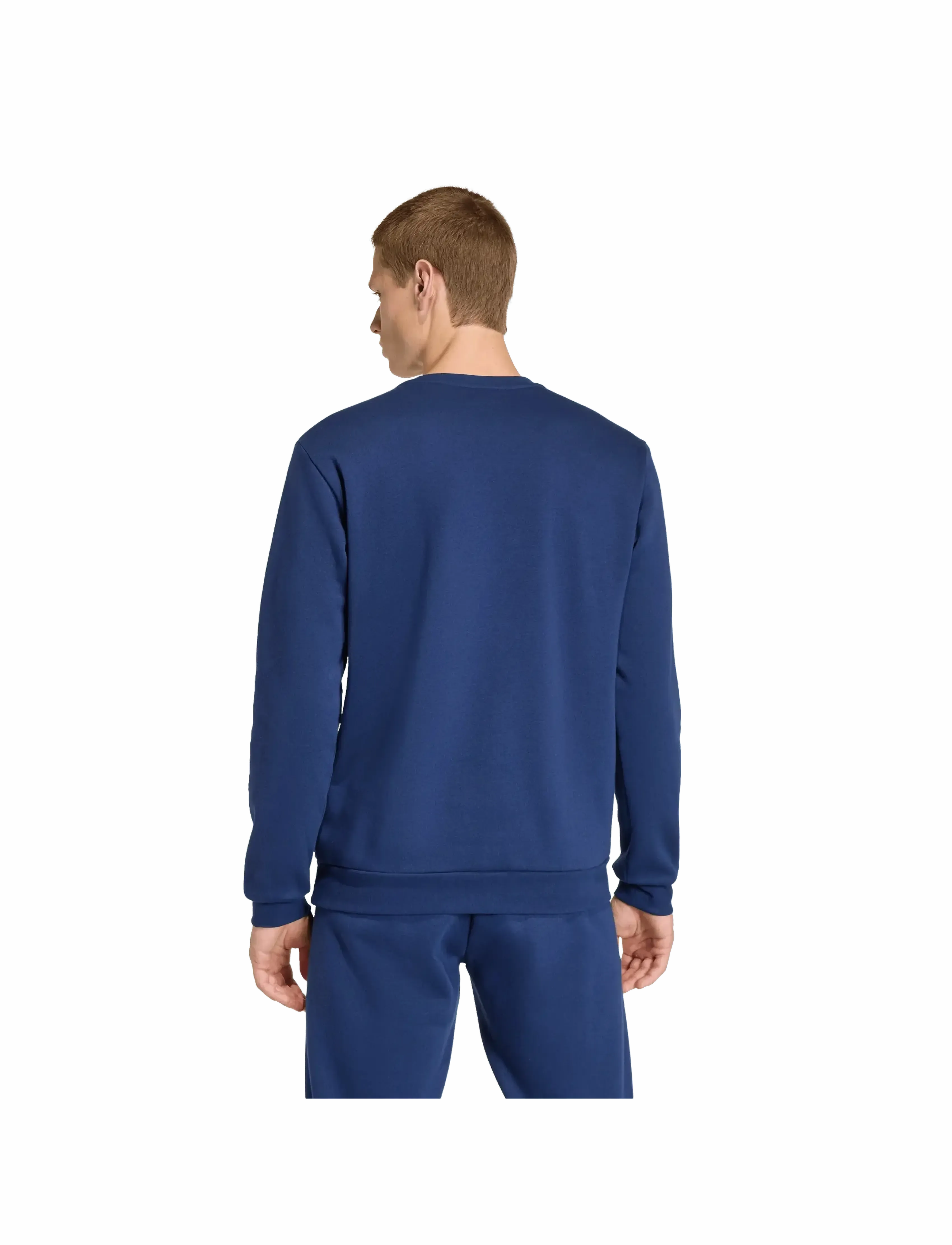 adidas Performance - ENT26 SW TOP - overdele - tenabl/white - 4