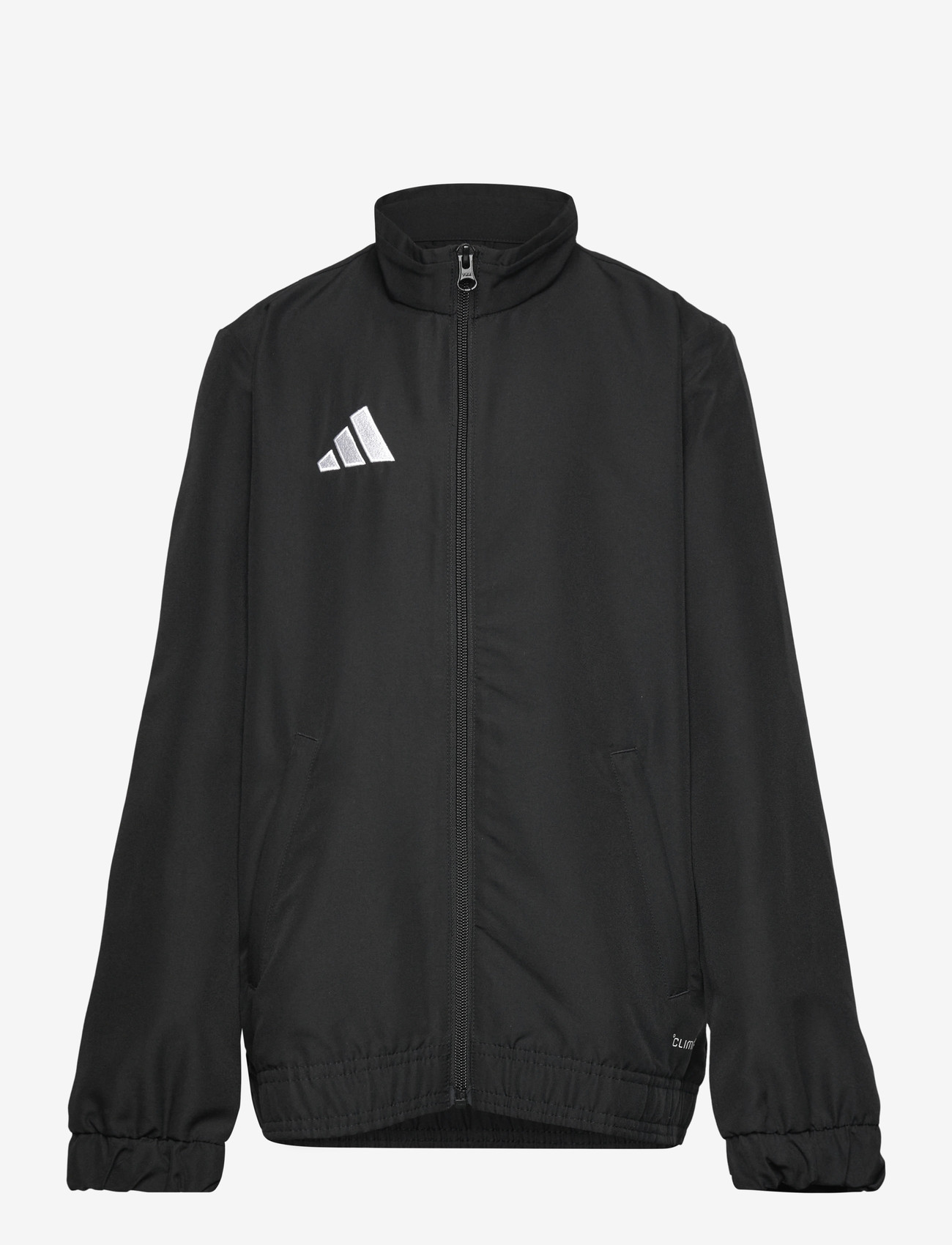adidas Performance - ENT26 PREJKTY - herbstjacken - black/white - 0