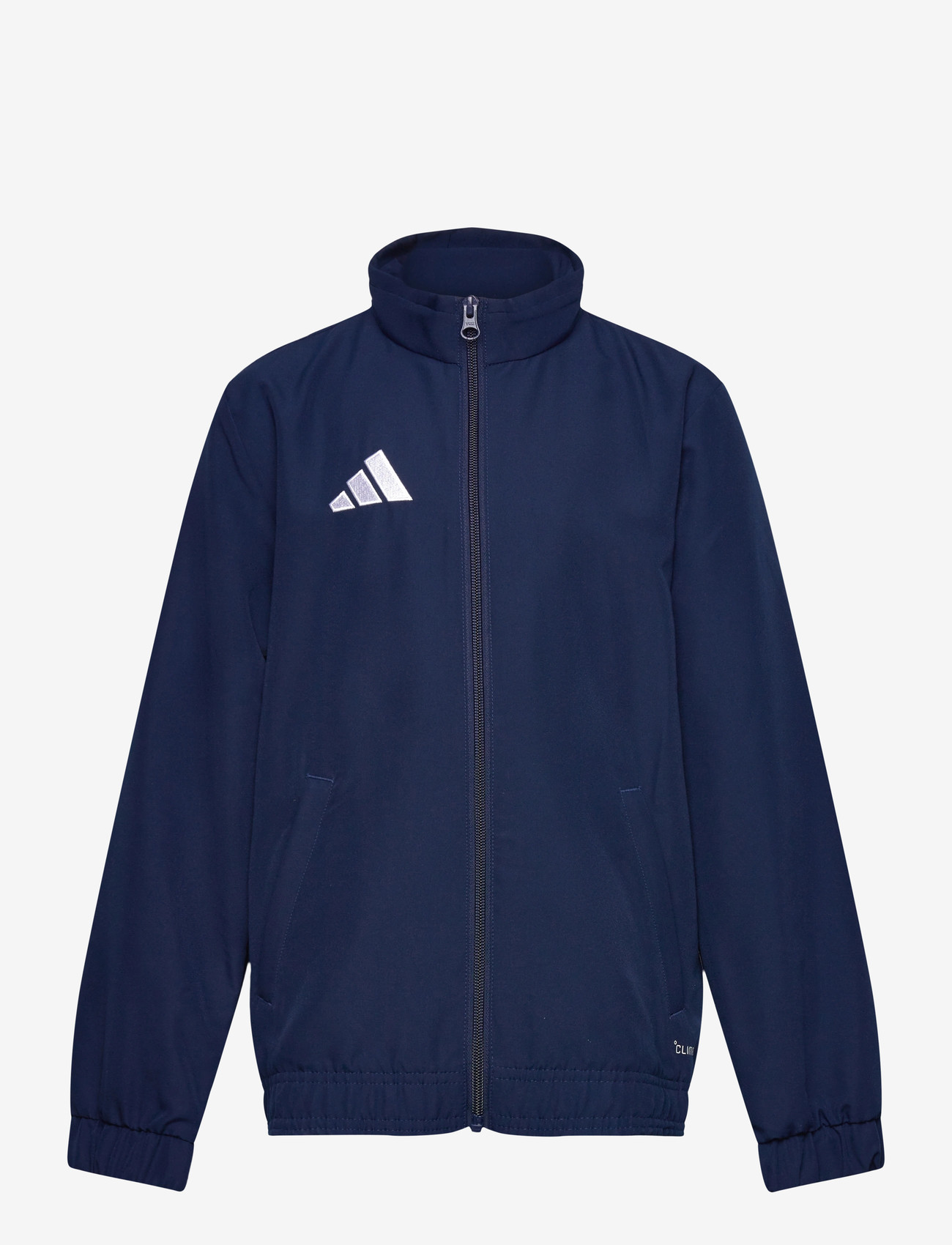 adidas Performance - ENT26 PREJKTY - Õueriided - tenabl/white - 0
