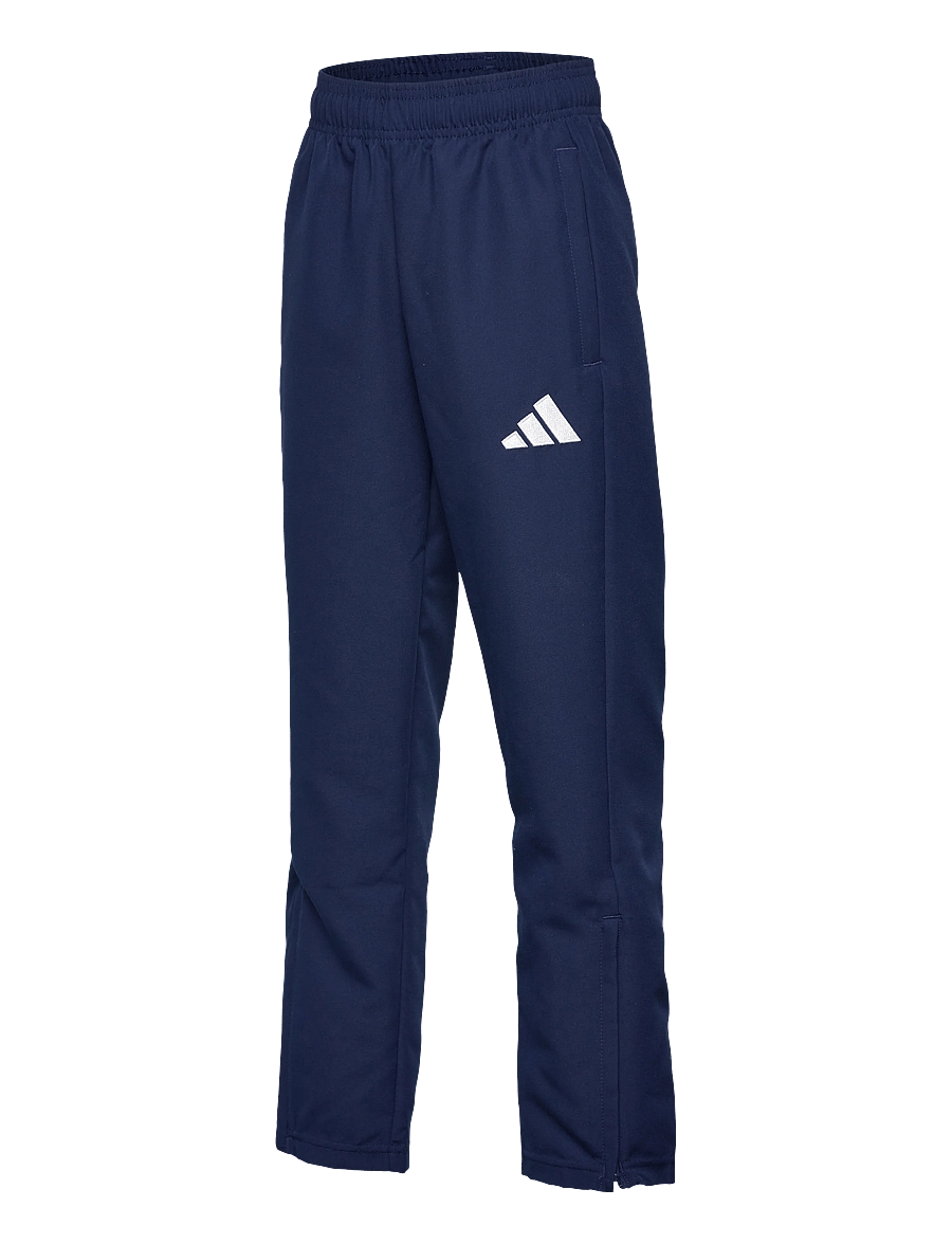 adidas Performance - ENT26 PRE PNT Y - jogginghosen - tenabl/white - 3