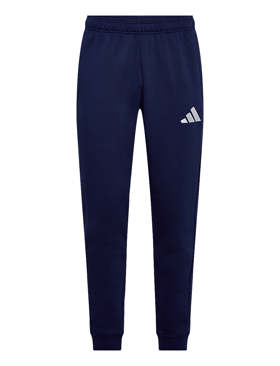 adidas Performance - ENT26 SW PNT - Íþróttabuxur - tenabl/white - 1