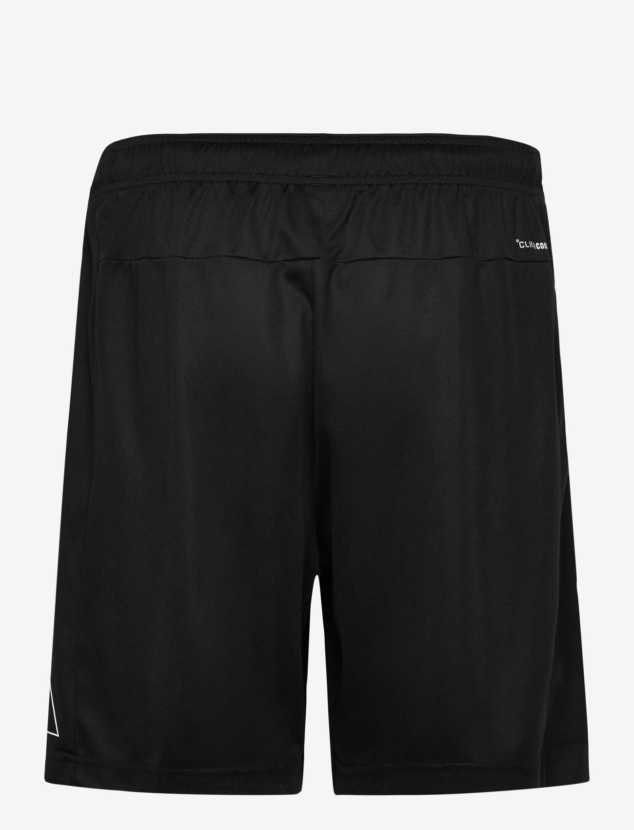 adidas Performance - WE BASE BL SHO - trainingsshorts - black - 1