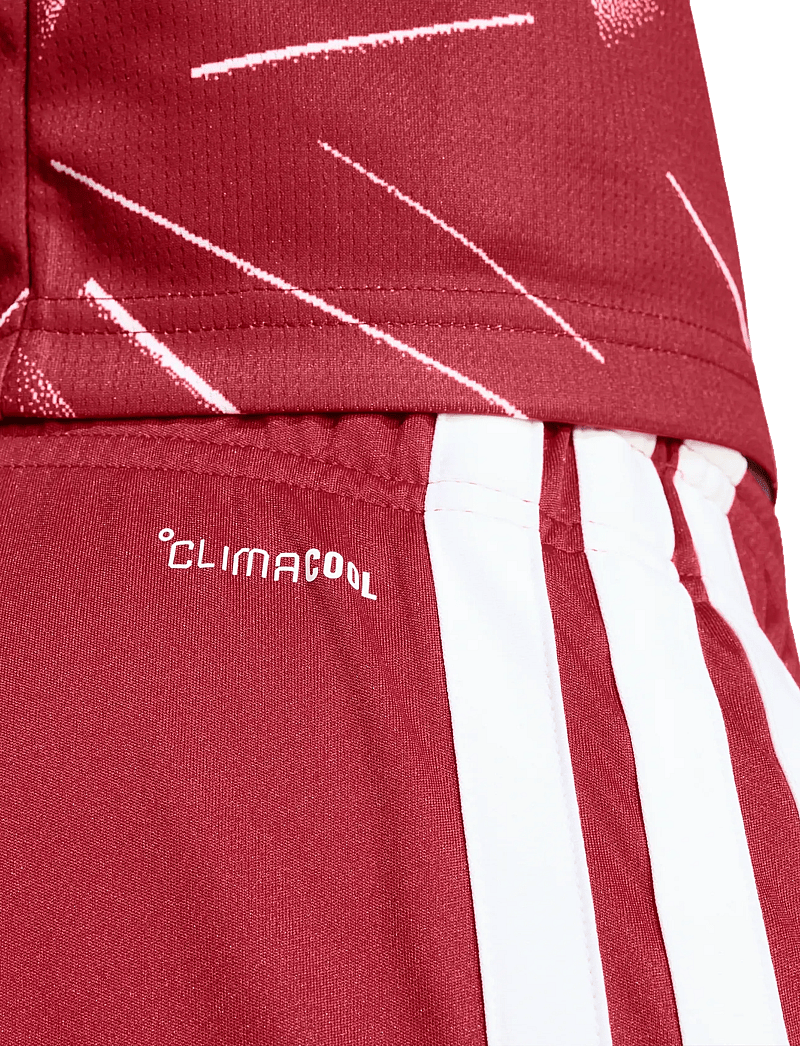 adidas Performance - LFC H SHO - training shorts - actmar - 4