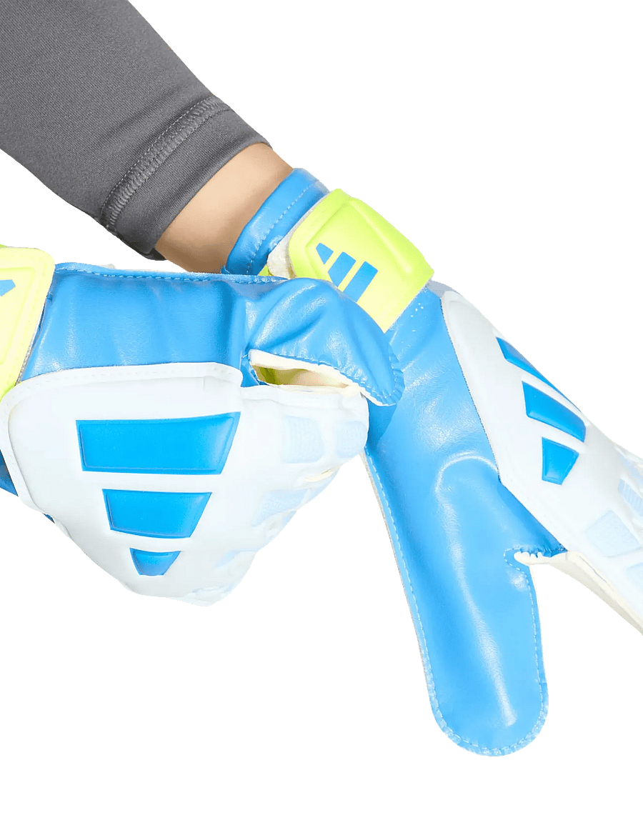 adidas Performance - PRED GL TRN J - fußballhandschuhe - rayblu/crsk/syello - 2
