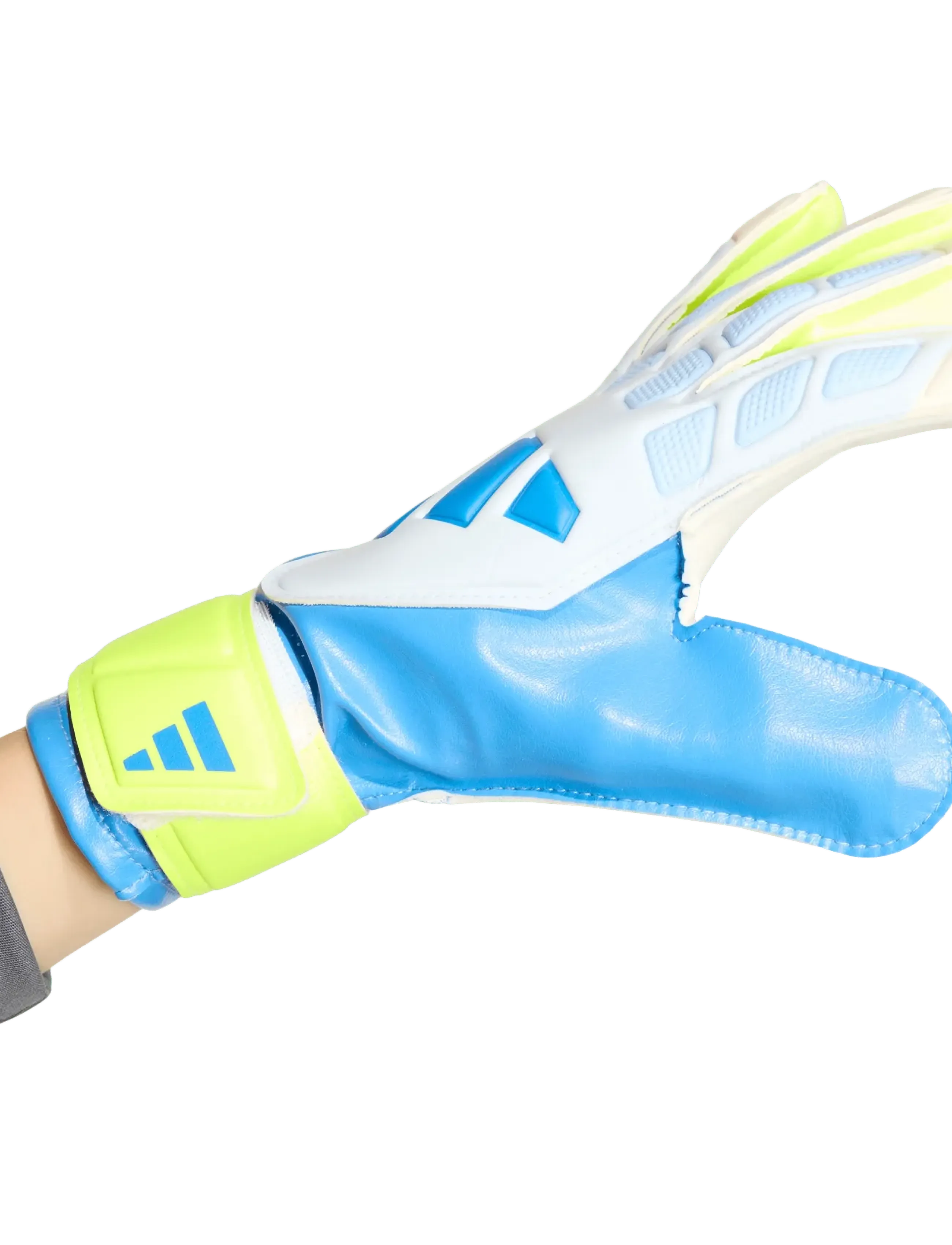 adidas Performance - PRED GL TRN J - kesälöytöjä - rayblu/crsk/syello - 3