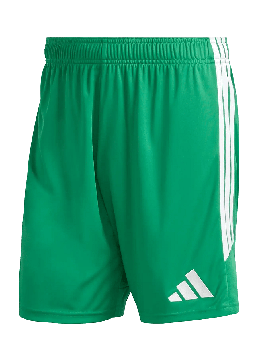 adidas Performance - TIRO26L SHO M - lühikesed treeningpüksid - teagrn/white - 1