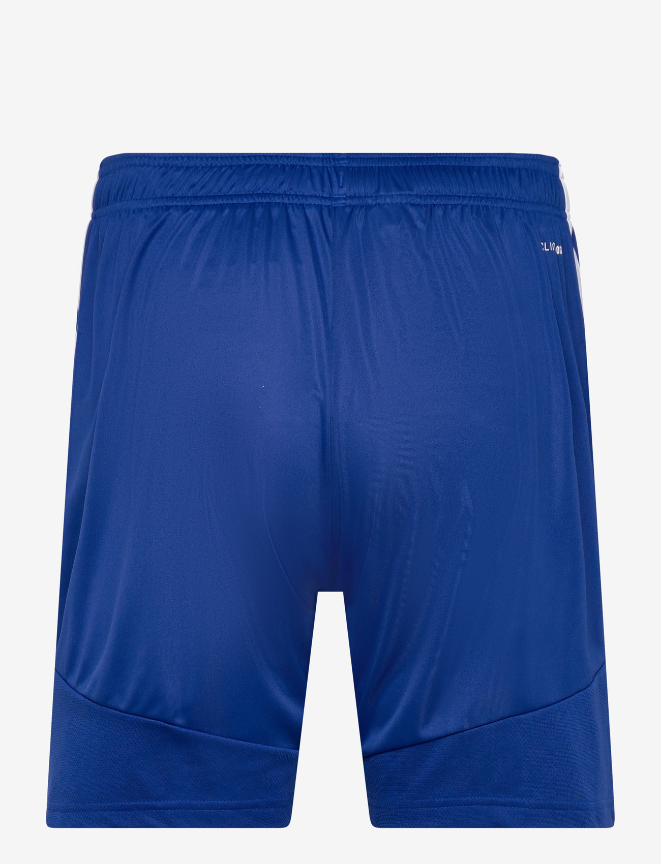 adidas Performance - TIRO26L SHO M - lühikesed treeningpüksid - royblu/white - 1