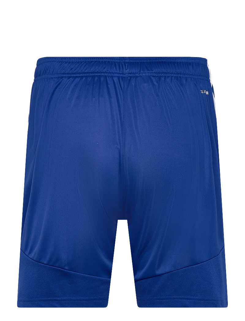 adidas Performance - TIRO26L SHO M - training shorts - royblu/white - 1