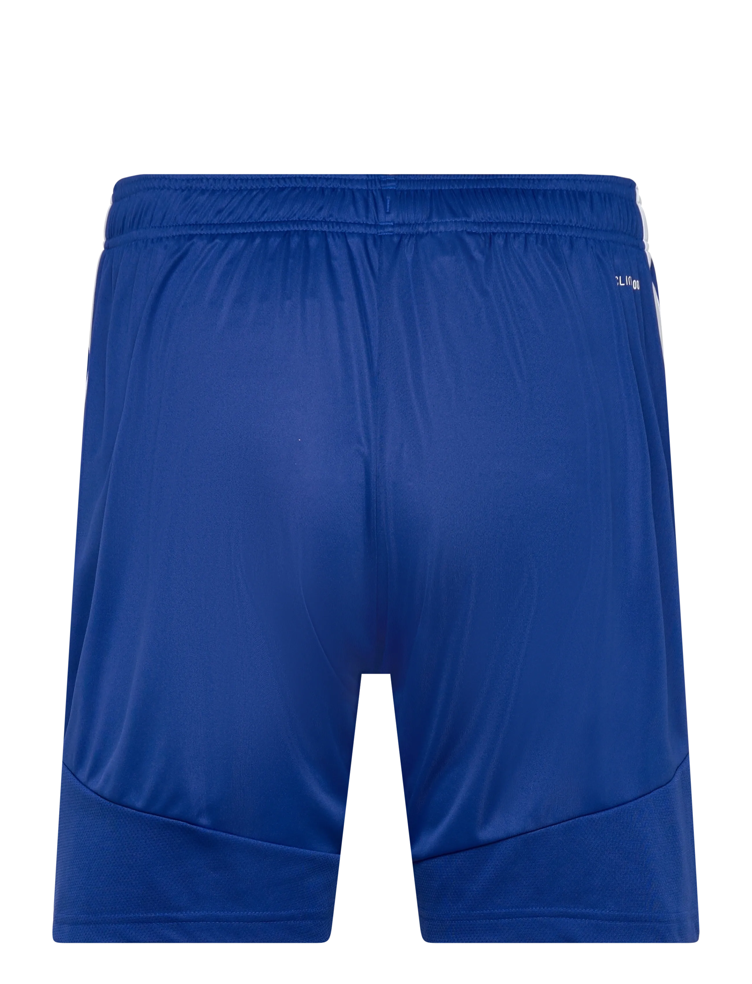 adidas Performance - TIRO26L SHO M - trainingsshorts - royblu/white - 1