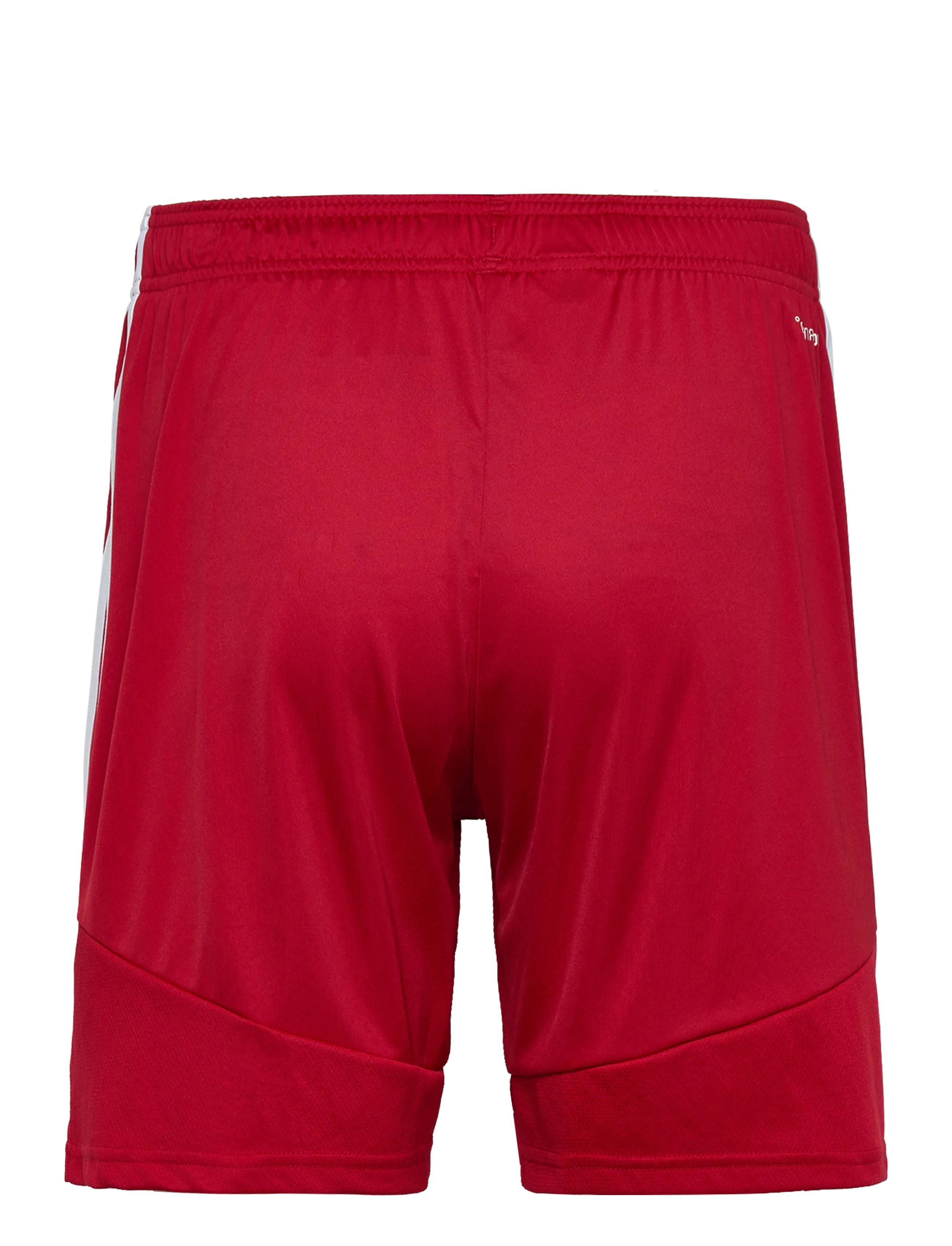 adidas Performance - TIRO26L SHO M - träningsshorts - tepore/white - 1