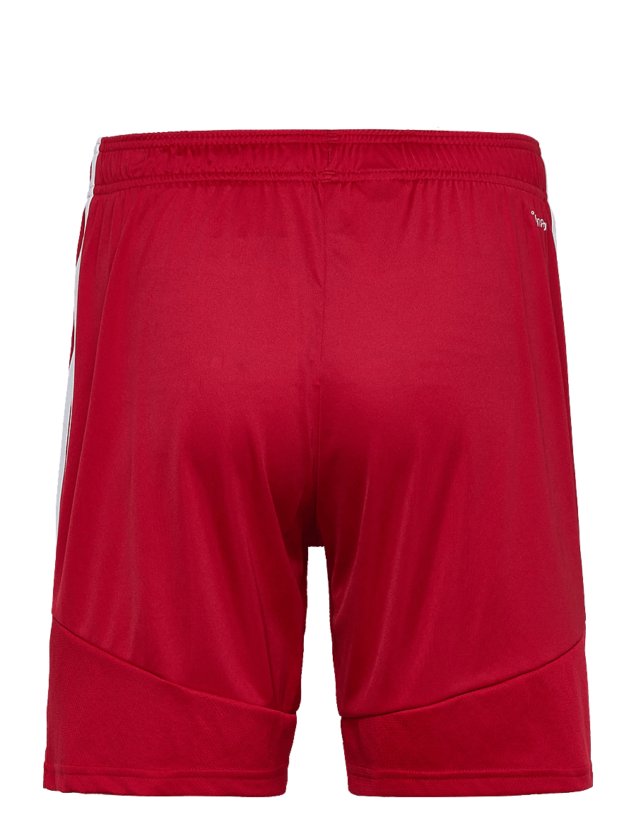 adidas Performance - TIRO26L SHO M - träningsshorts - tepore/white - 1
