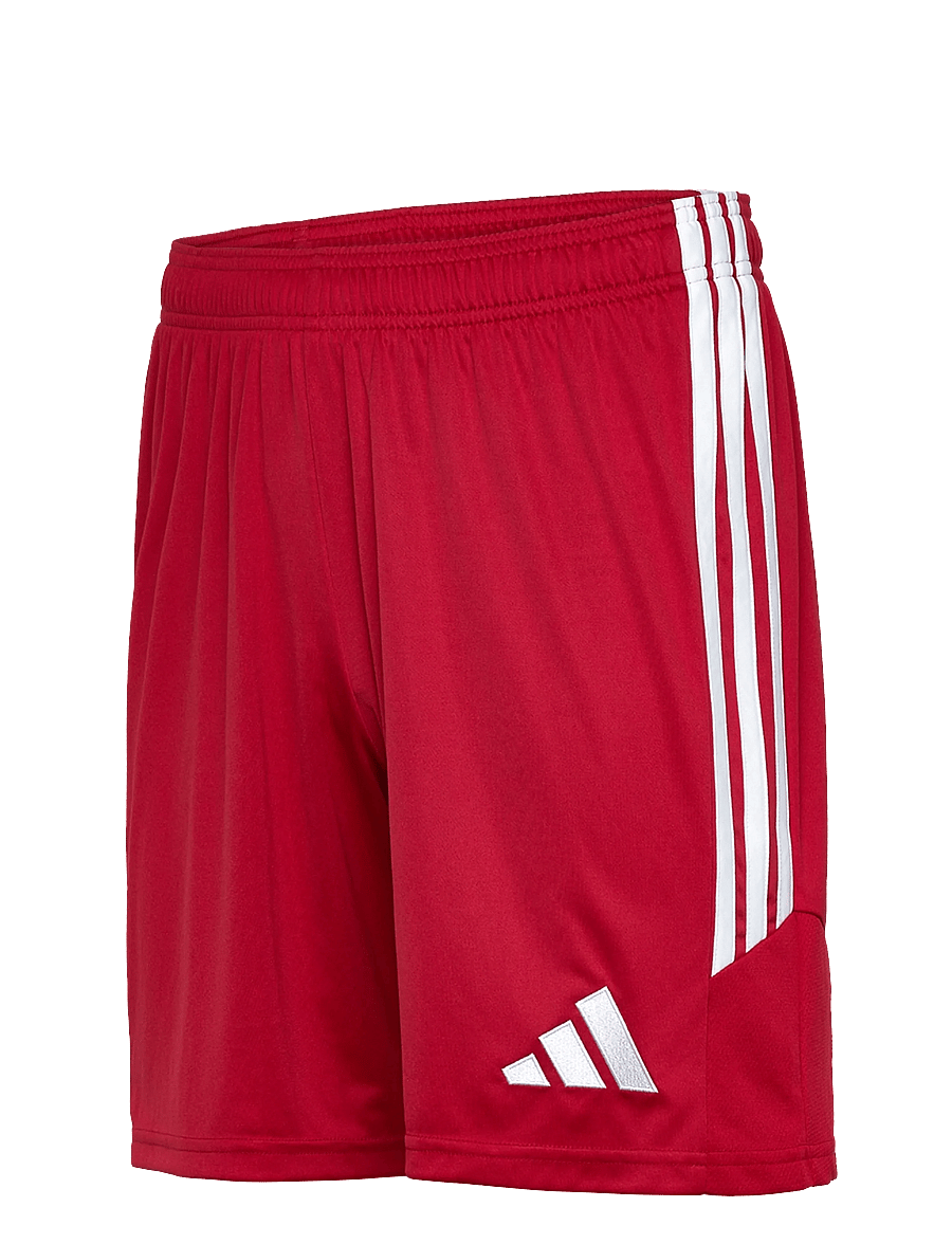 adidas Performance - TIRO26L SHO M - träningsshorts - tepore/white - 3