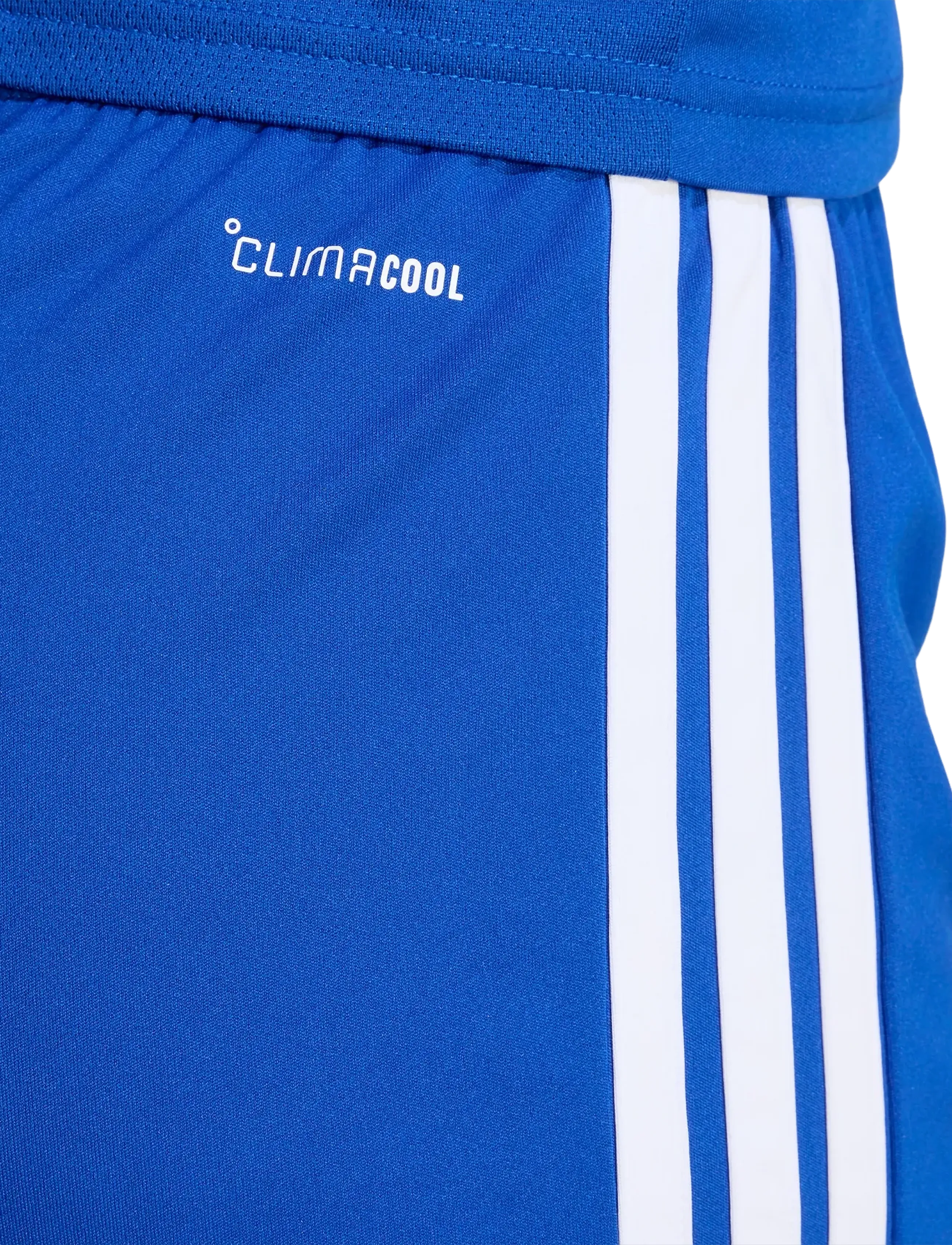 adidas Performance - TIRO26L SHO W - training shorts - royblu/white - 5