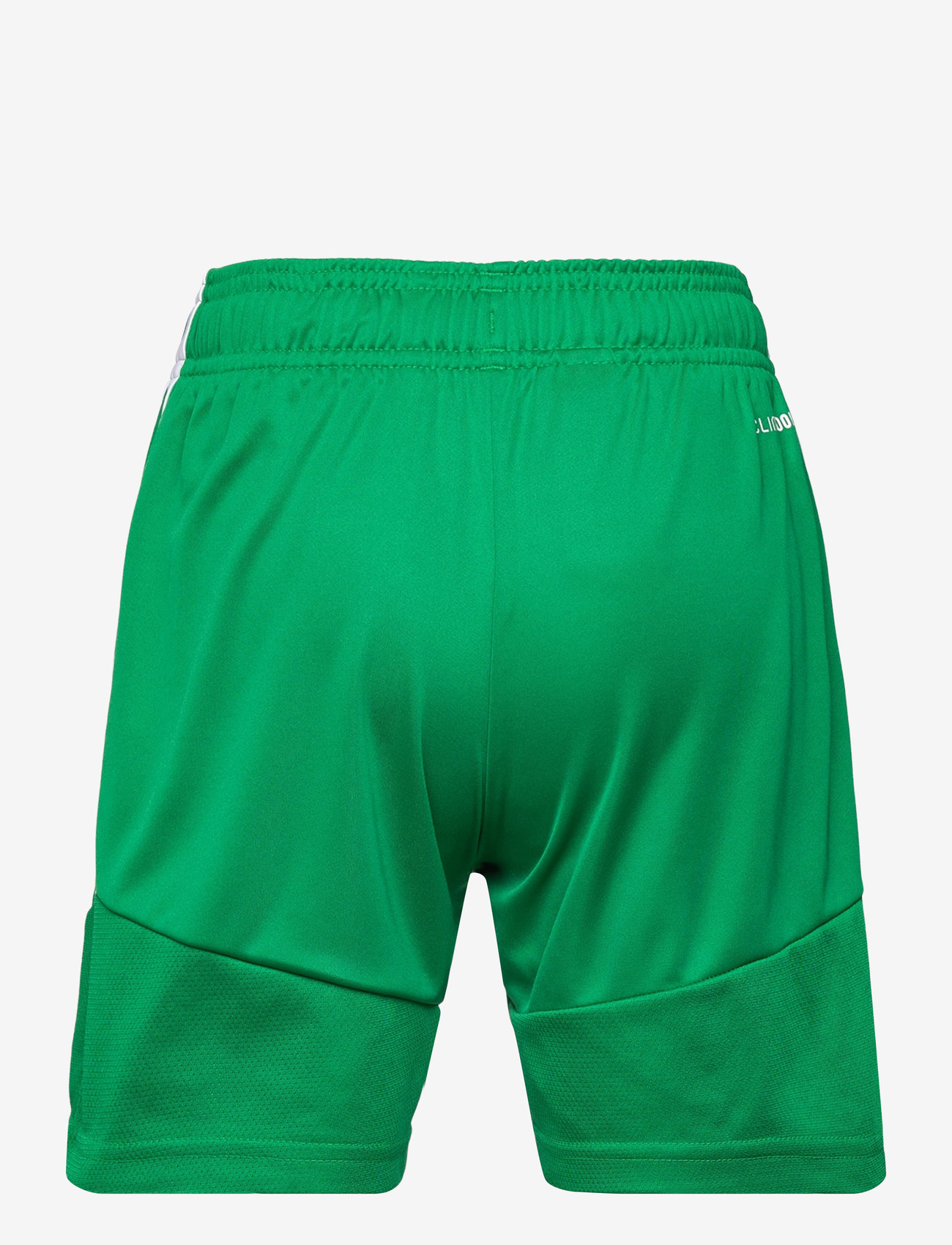 adidas Performance - TIRO26L SHO Y - sportsshorts - teagrn/white - 2