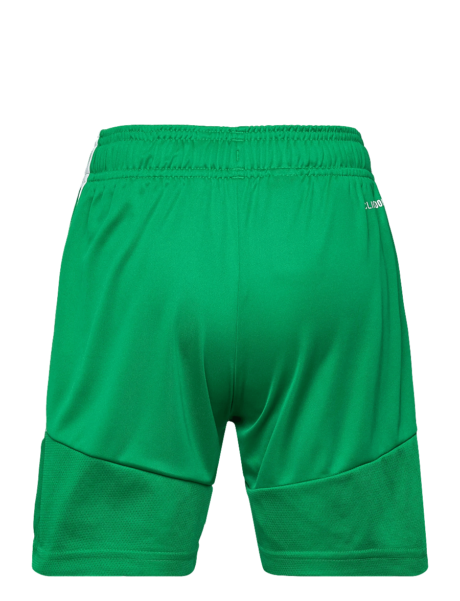 adidas Performance - TIRO26L SHO Y - sport-shorts - teagrn/white - 2