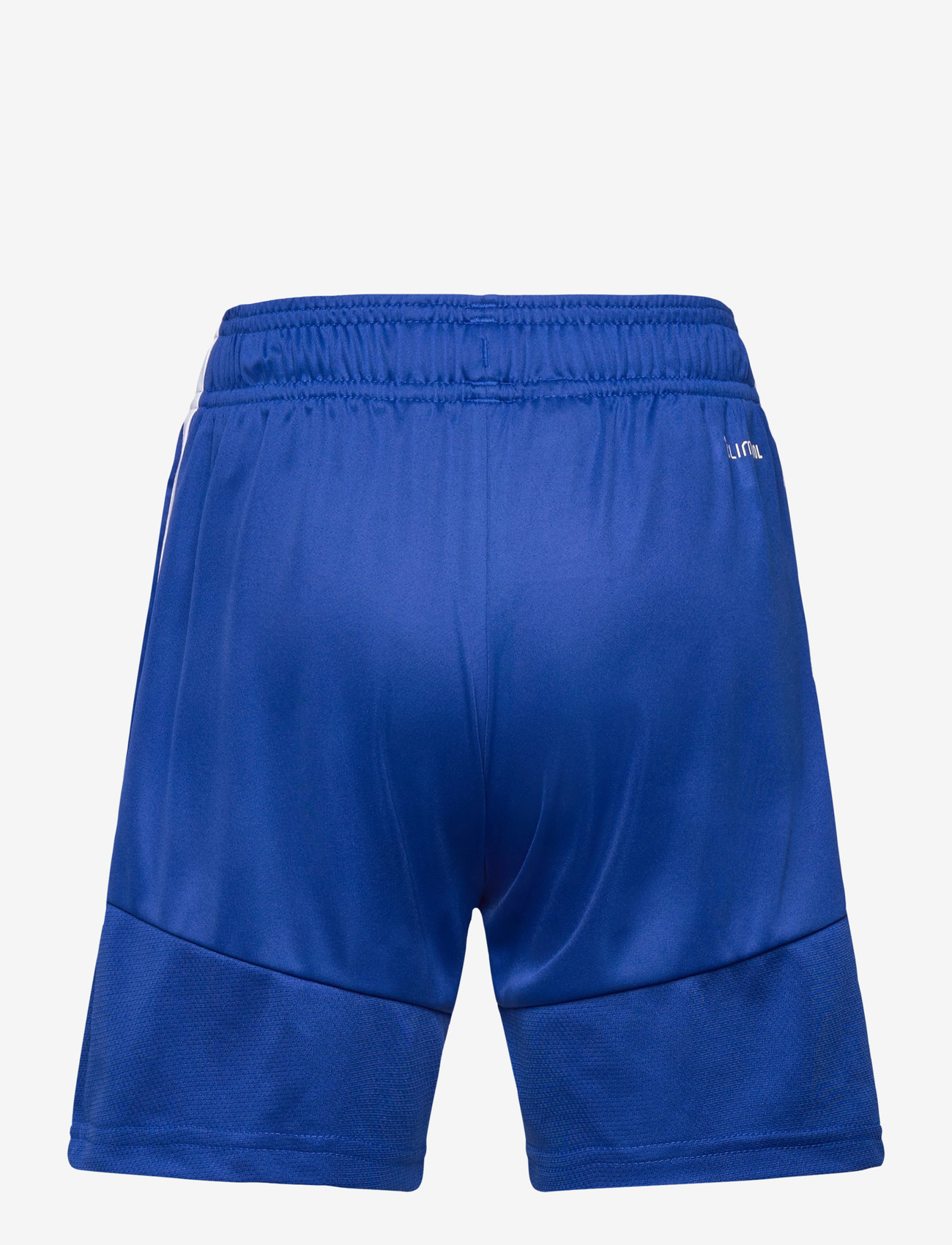 adidas Performance - TIRO26L SHO Y - sportsshorts - royblu/white - 2