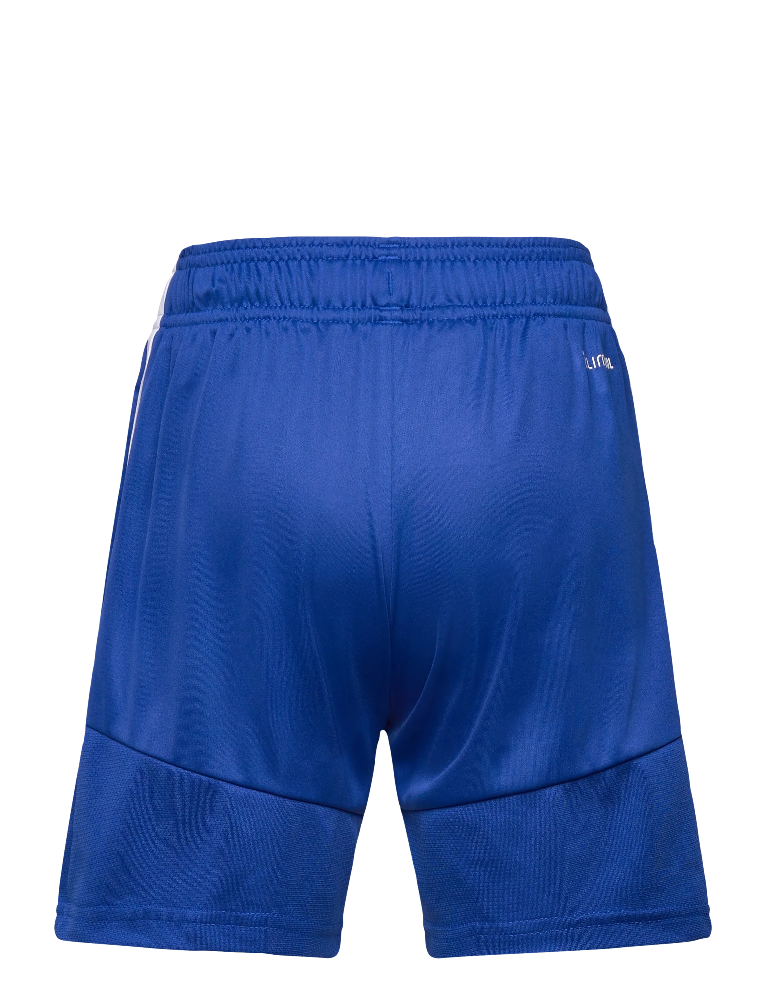 adidas Performance - TIRO26L SHO Y - sportimise püksid - royblu/white - 2
