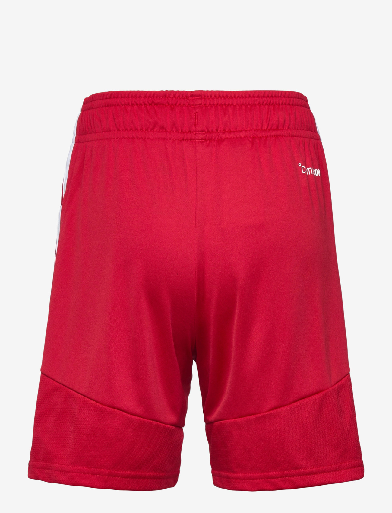adidas Performance - TIRO26L SHO Y - sport-shorts - tepore/white - 2