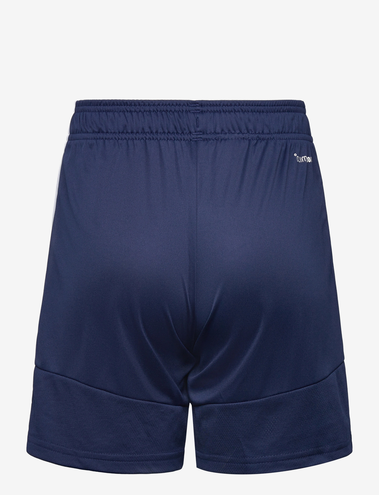 adidas Performance - TIRO26L SHO Y - sportsshorts - tenabl/white - 2