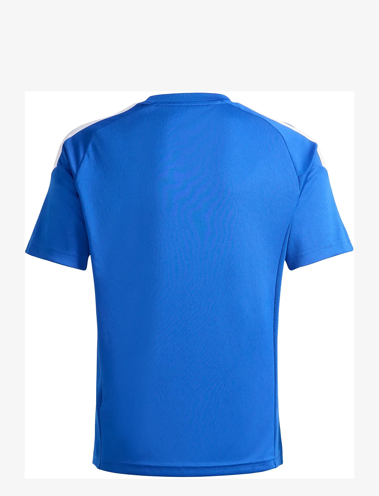 adidas Performance - TIRO26L JSY Y - sportstoppe - royblu/white - 2