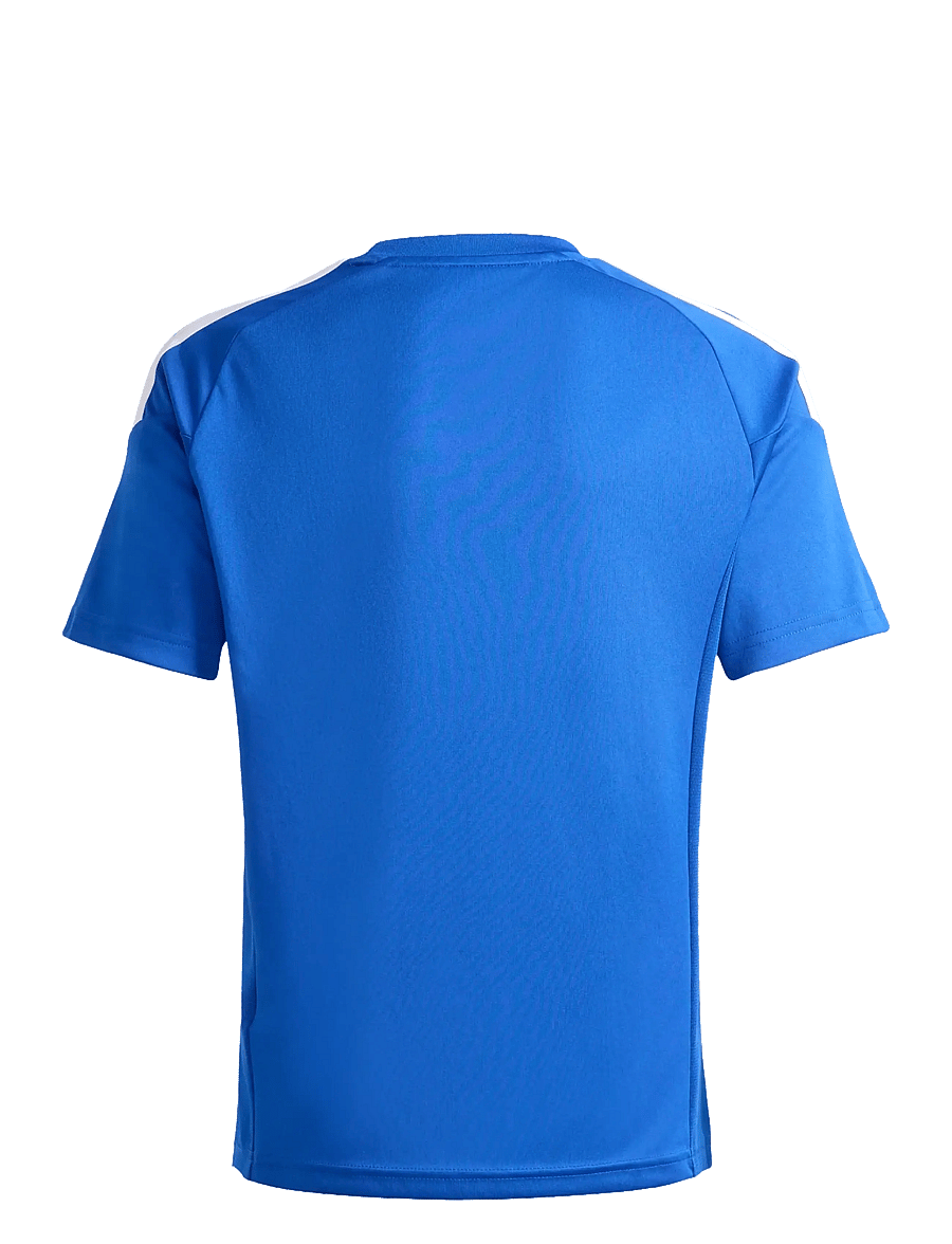 adidas Performance - TIRO26L JSY Y - sportstoppe - royblu/white - 2