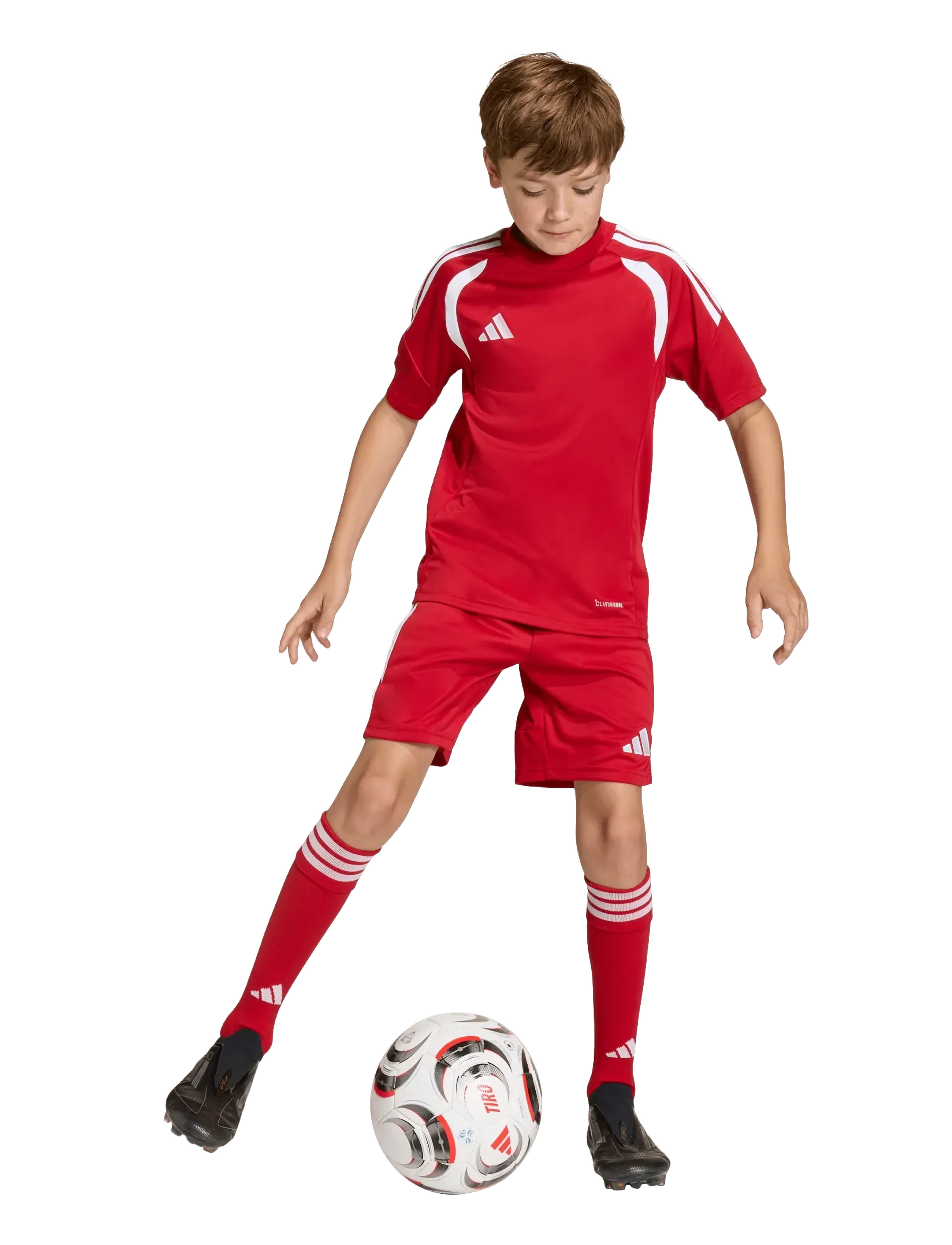 adidas Performance TIRO26L JSY Y - Clothing - TEPORE/WHITE / red