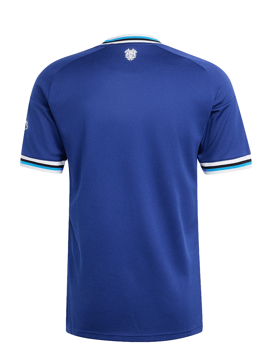 adidas Performance - FCK A JSY - fotbollströjor - vicblu - 2