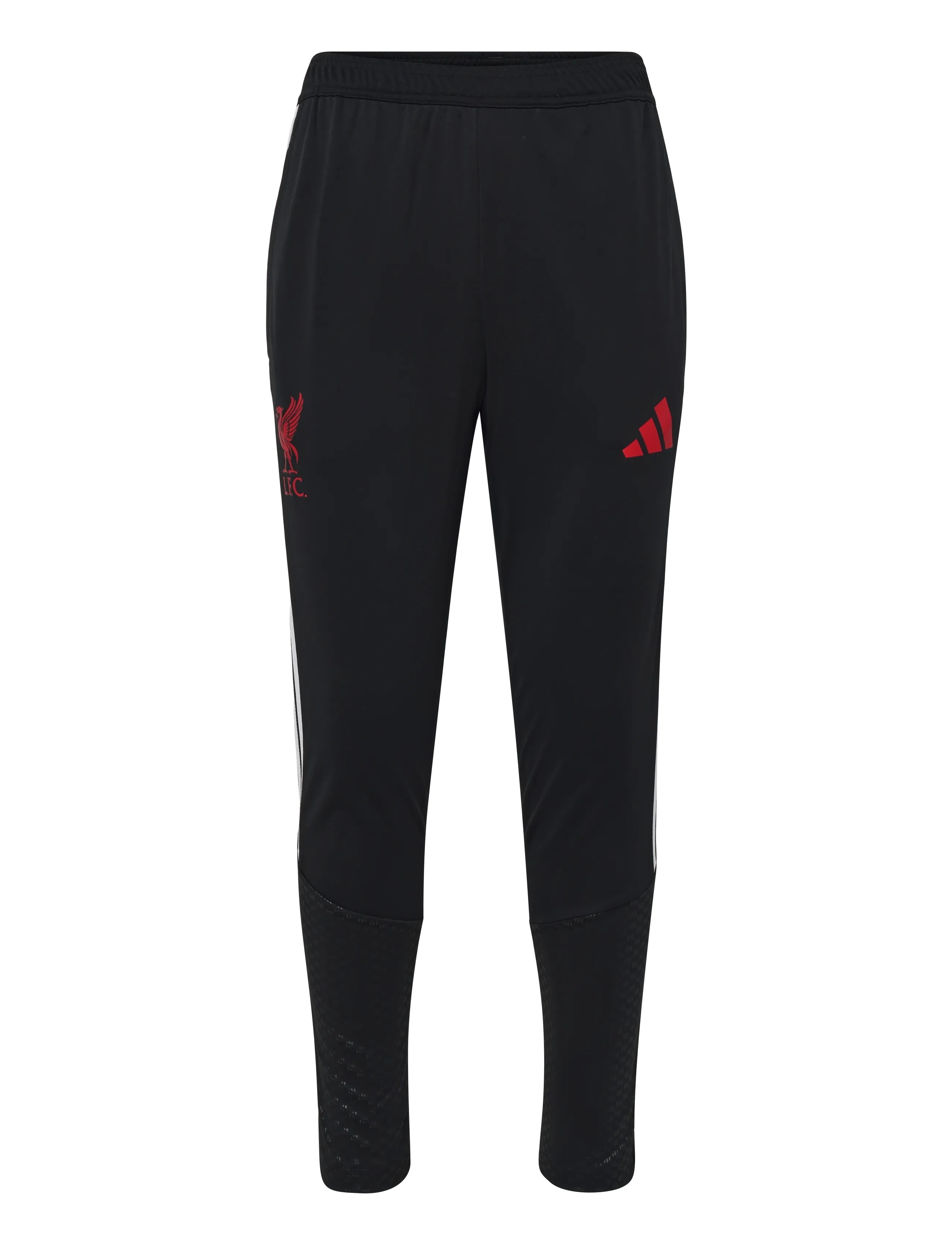 adidas Performance LFC TR PNT - Sporta bikses - BLACK / black