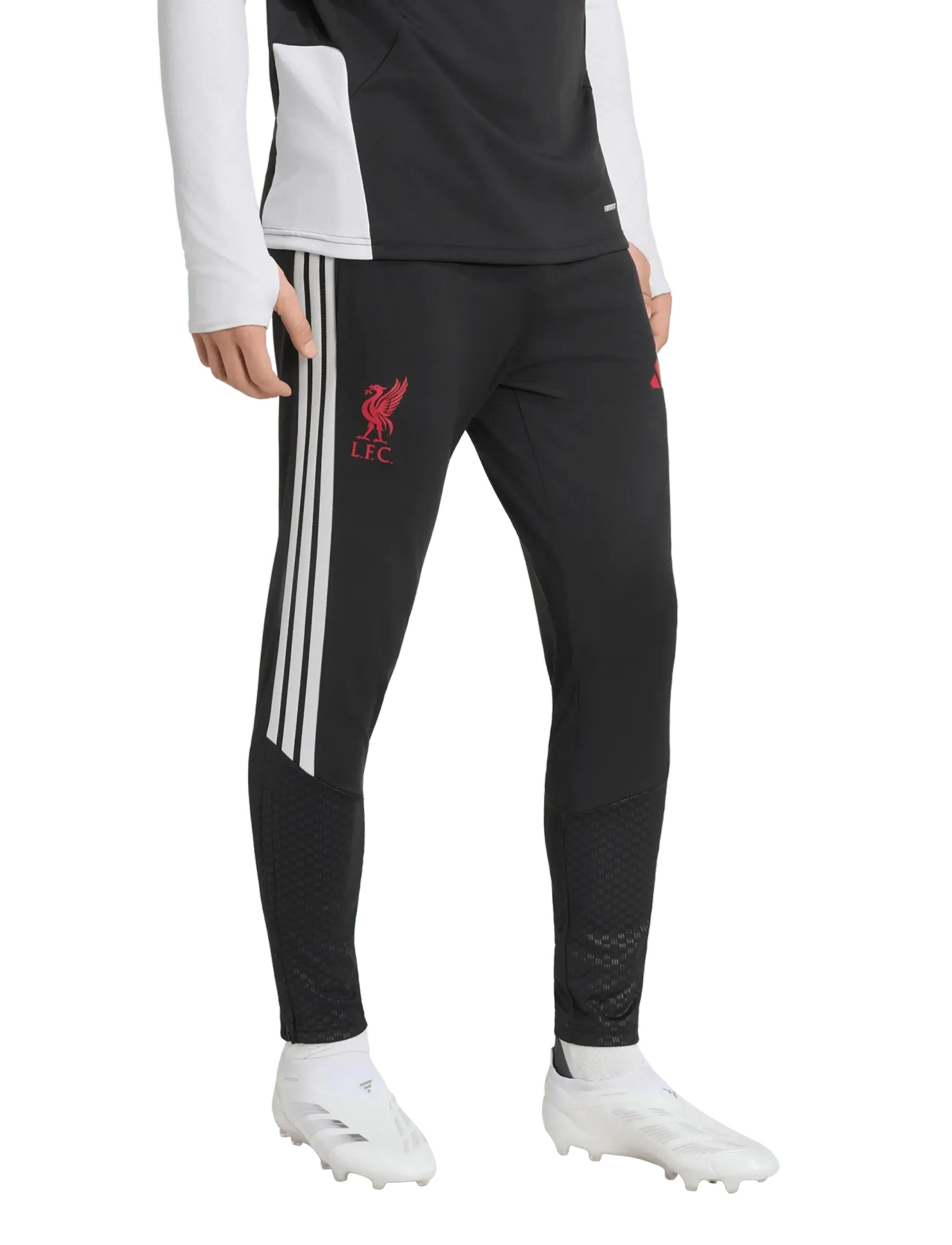 adidas Performance - LFC TR PNT - trainingshosen - black - 0